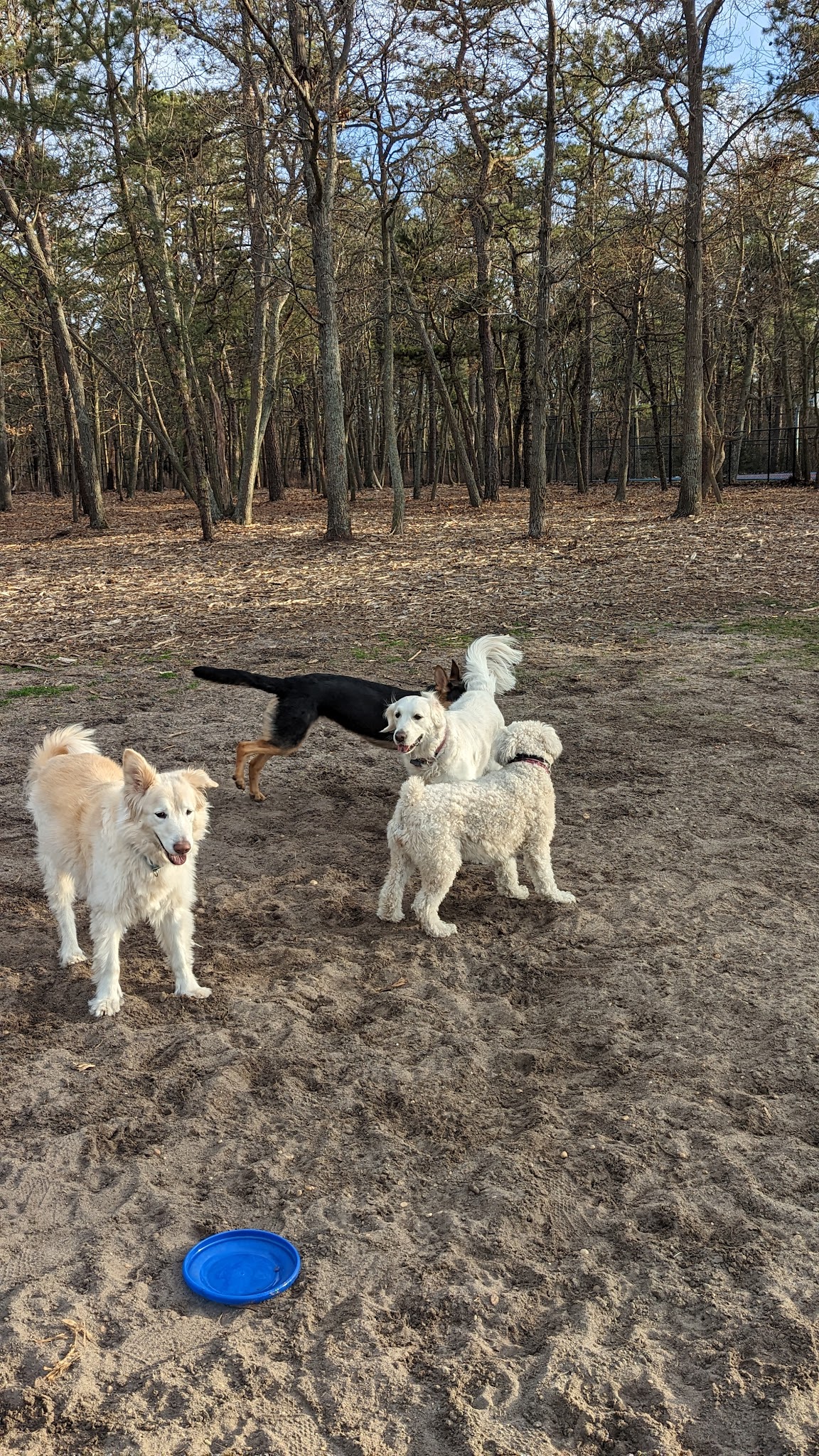 Silverton Park - Toms River, NJ