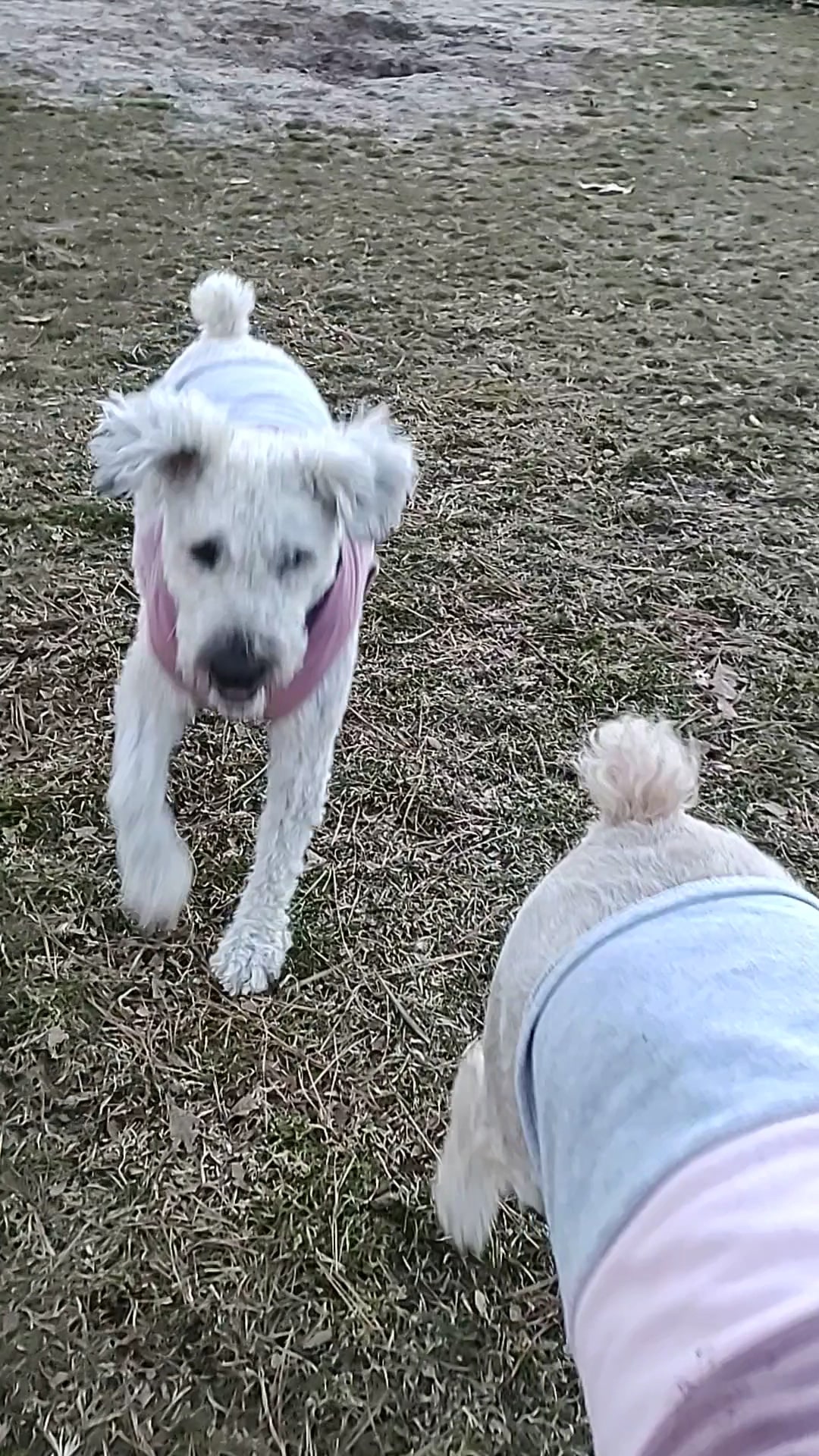 Silverton Park - Toms River, NJ