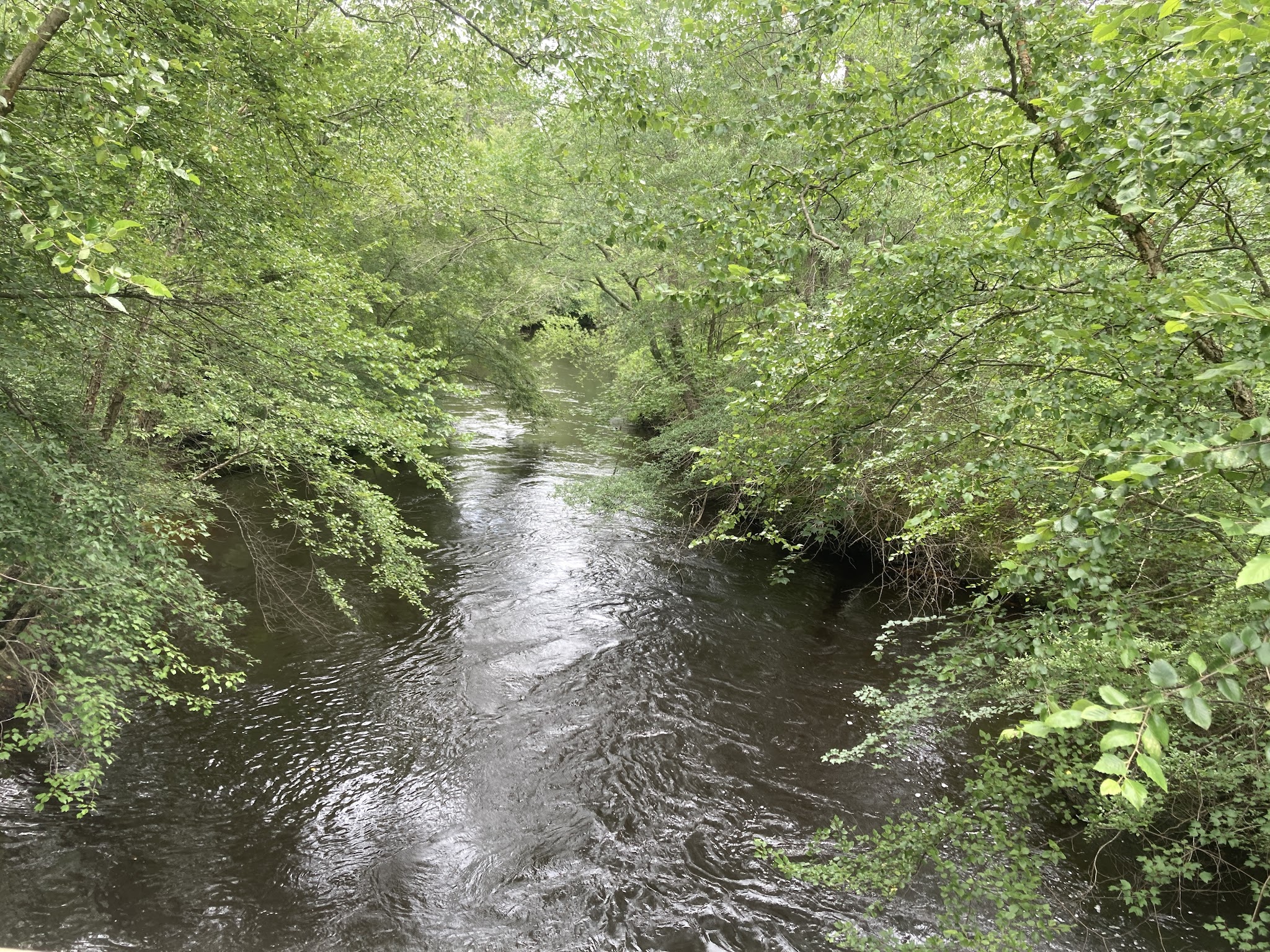 Winding River Park - Toms River, NJ