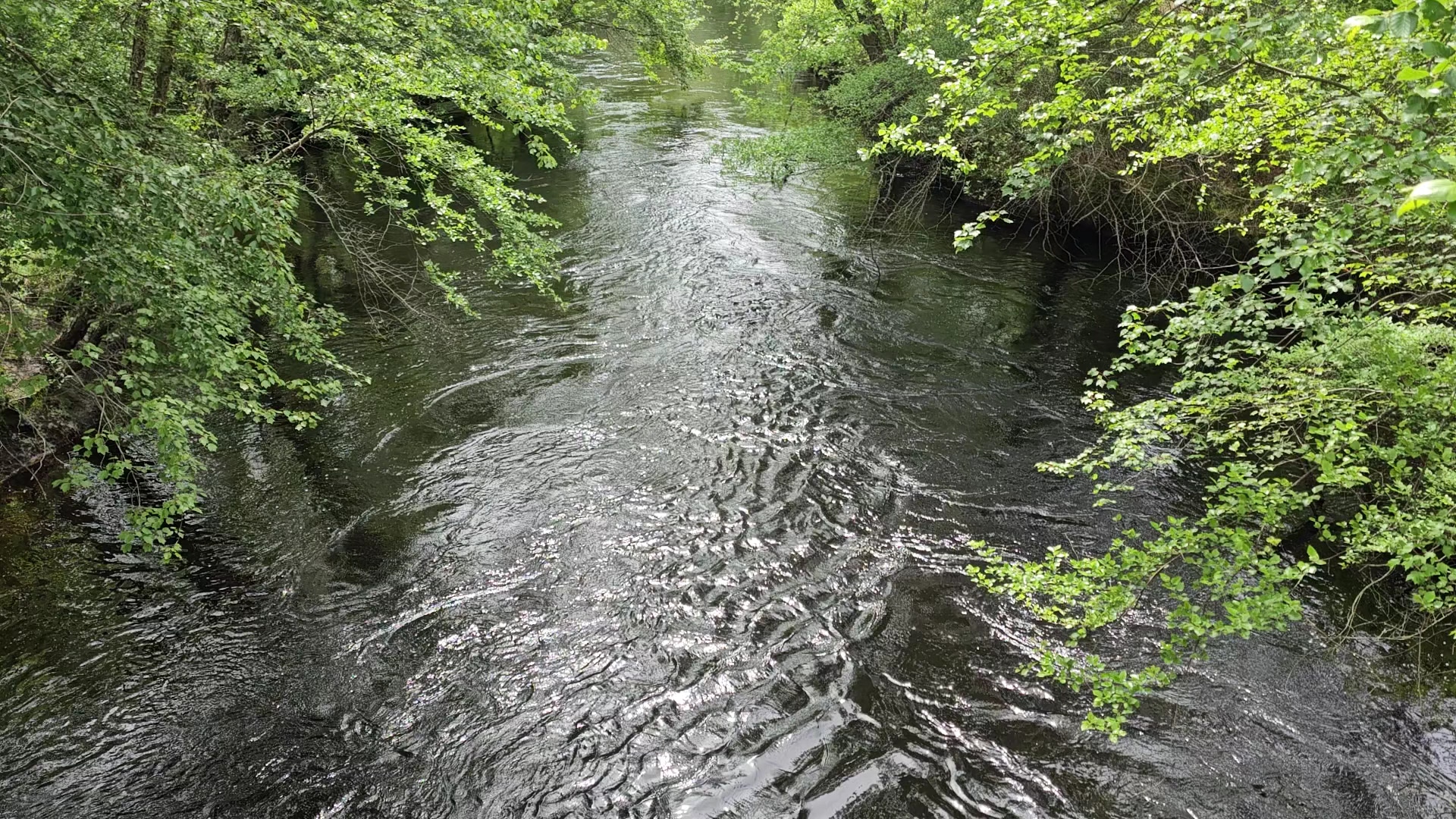 Winding River Park - Toms River, NJ