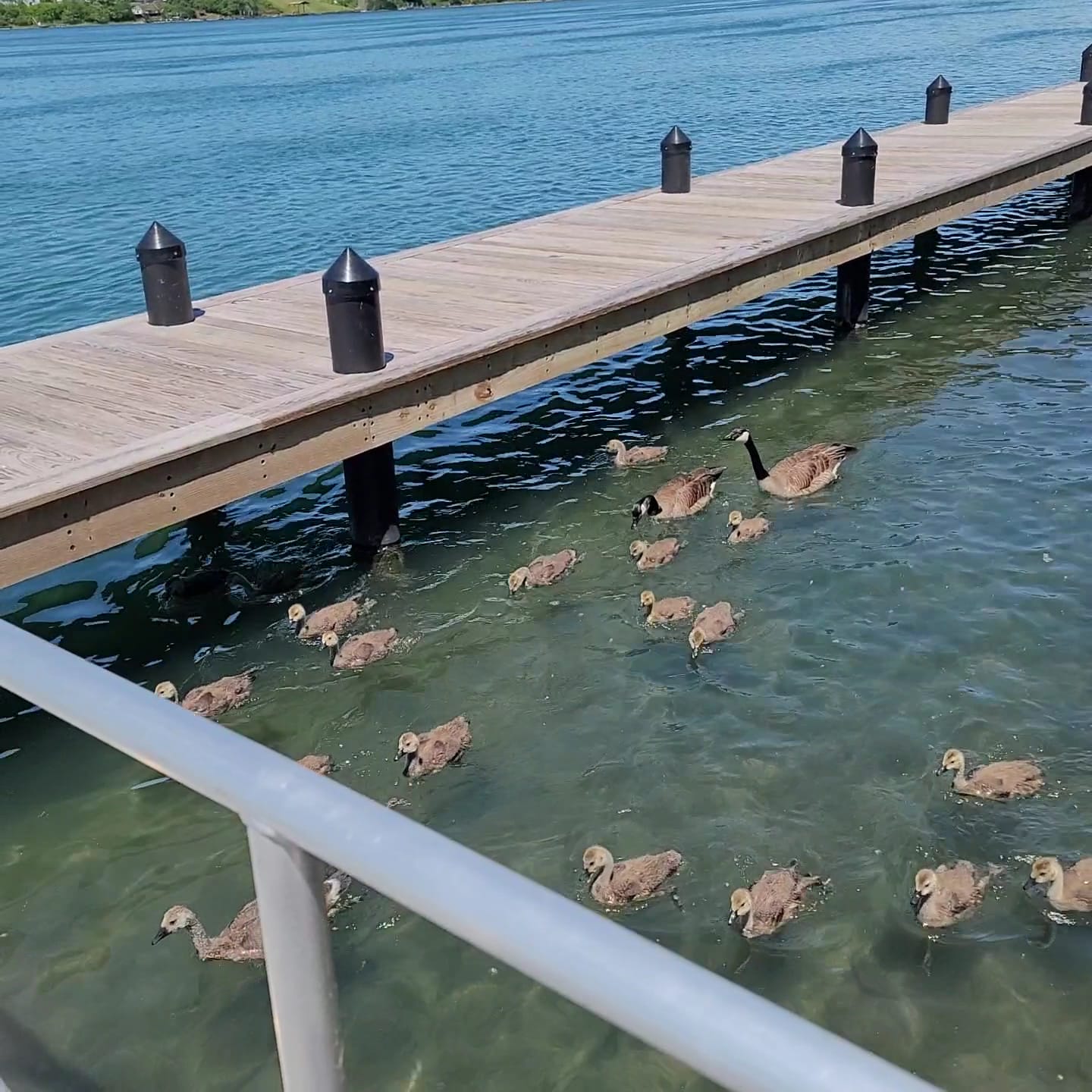 Isle View Park - Tonawanda, NY