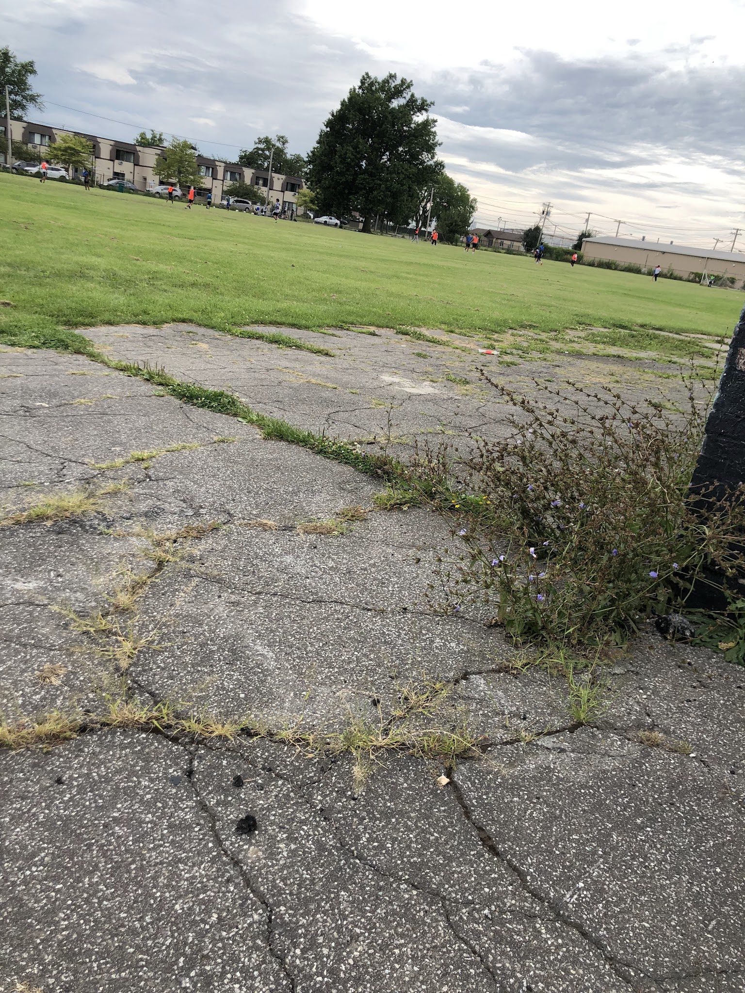 J.H. Williams Park - Tonawanda, NY