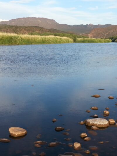 Roosevelt Lake Wildlife Area - Tonto Basin, AZ
