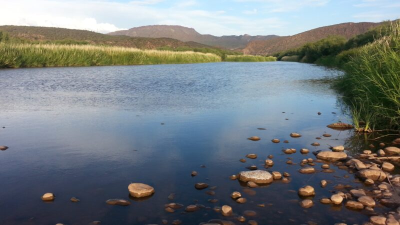 Roosevelt Lake Wildlife Area - Tonto Basin, AZ