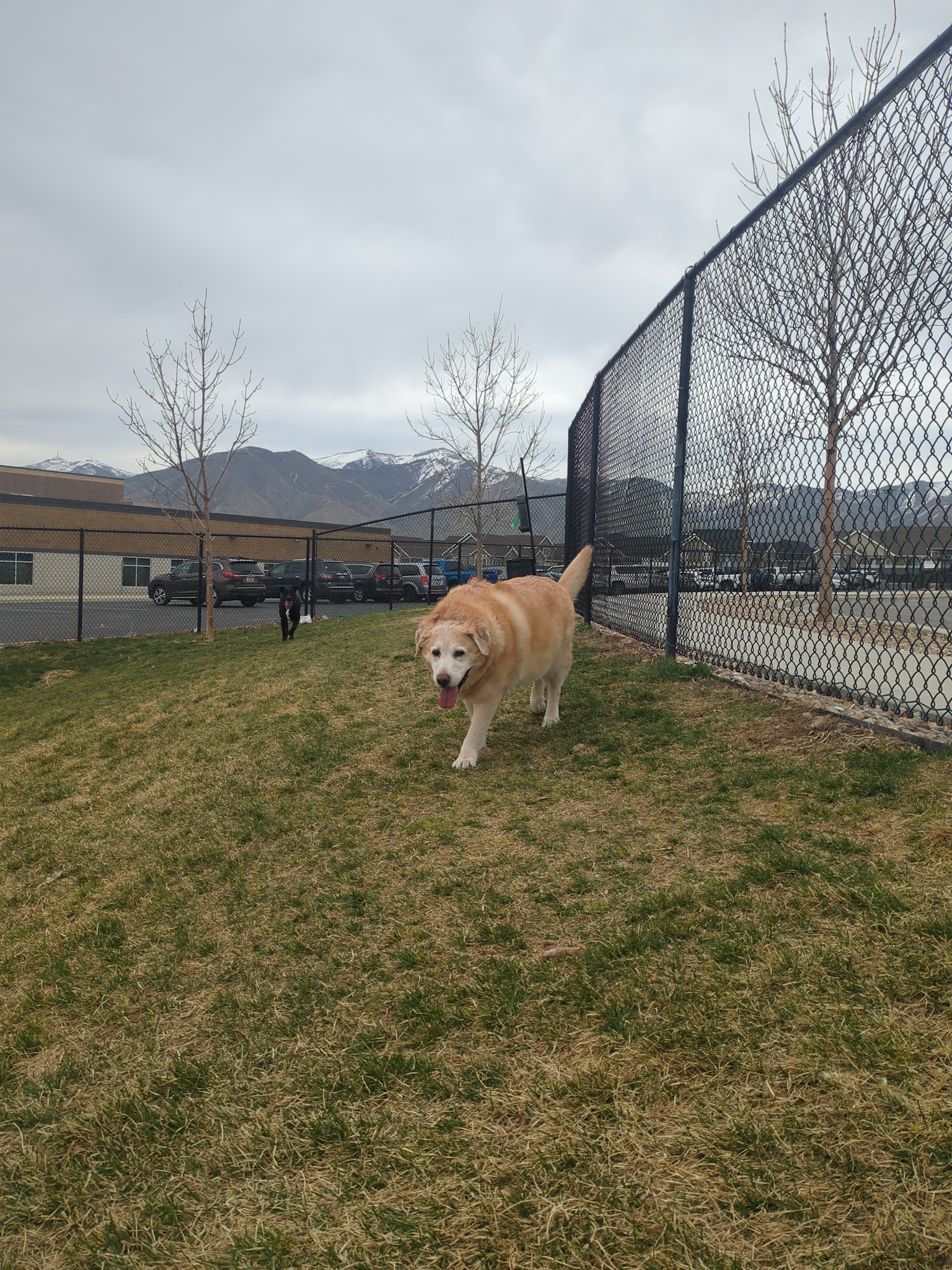 Springs at Copper Canyon Dog Park - Tooele, UT