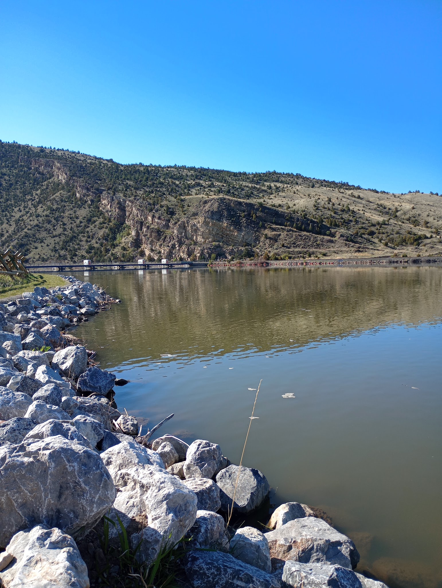Toston Dam Campground - Toston, MT