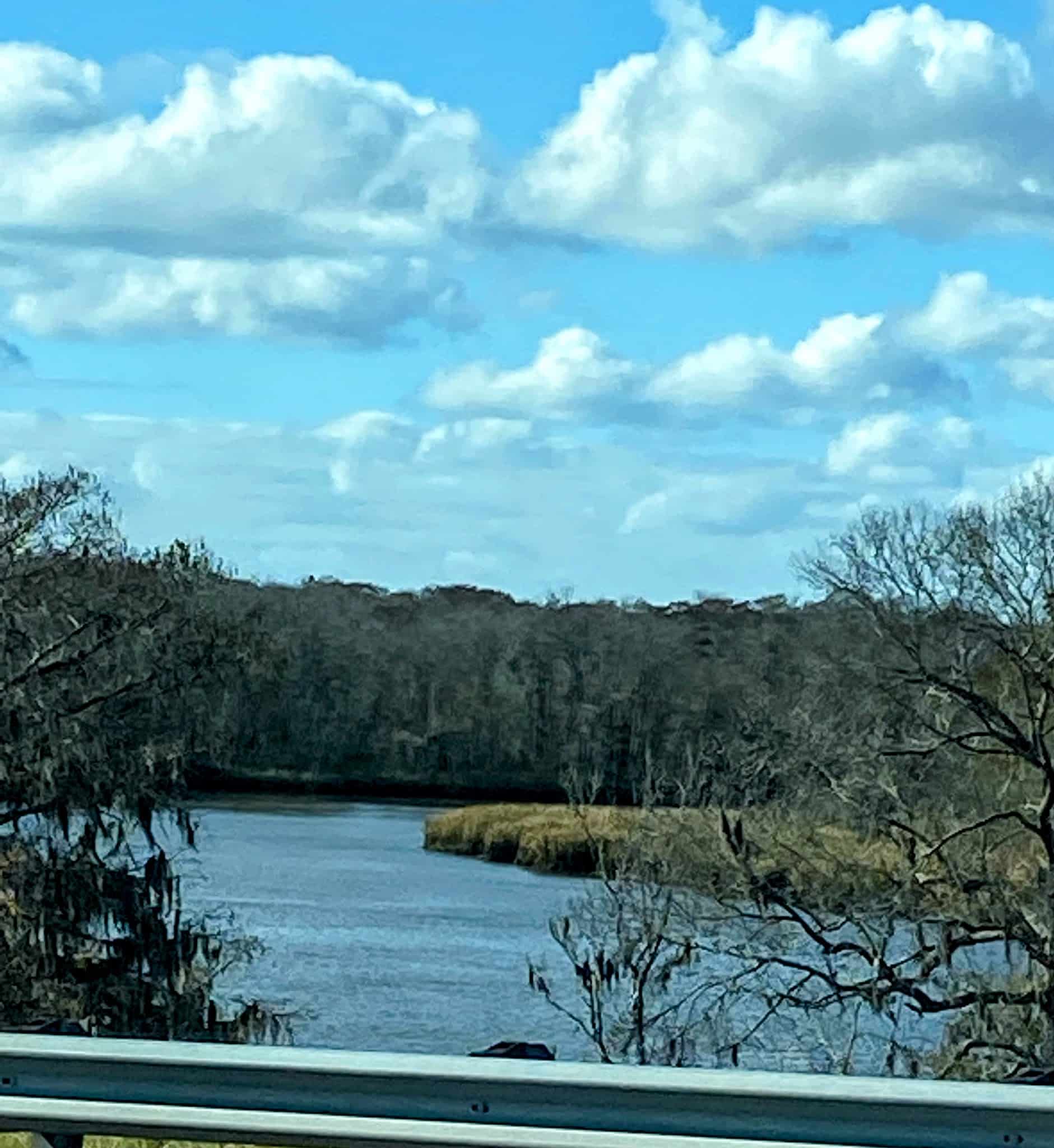 Altamaha Wildlife Management Area - Townsend, GA
