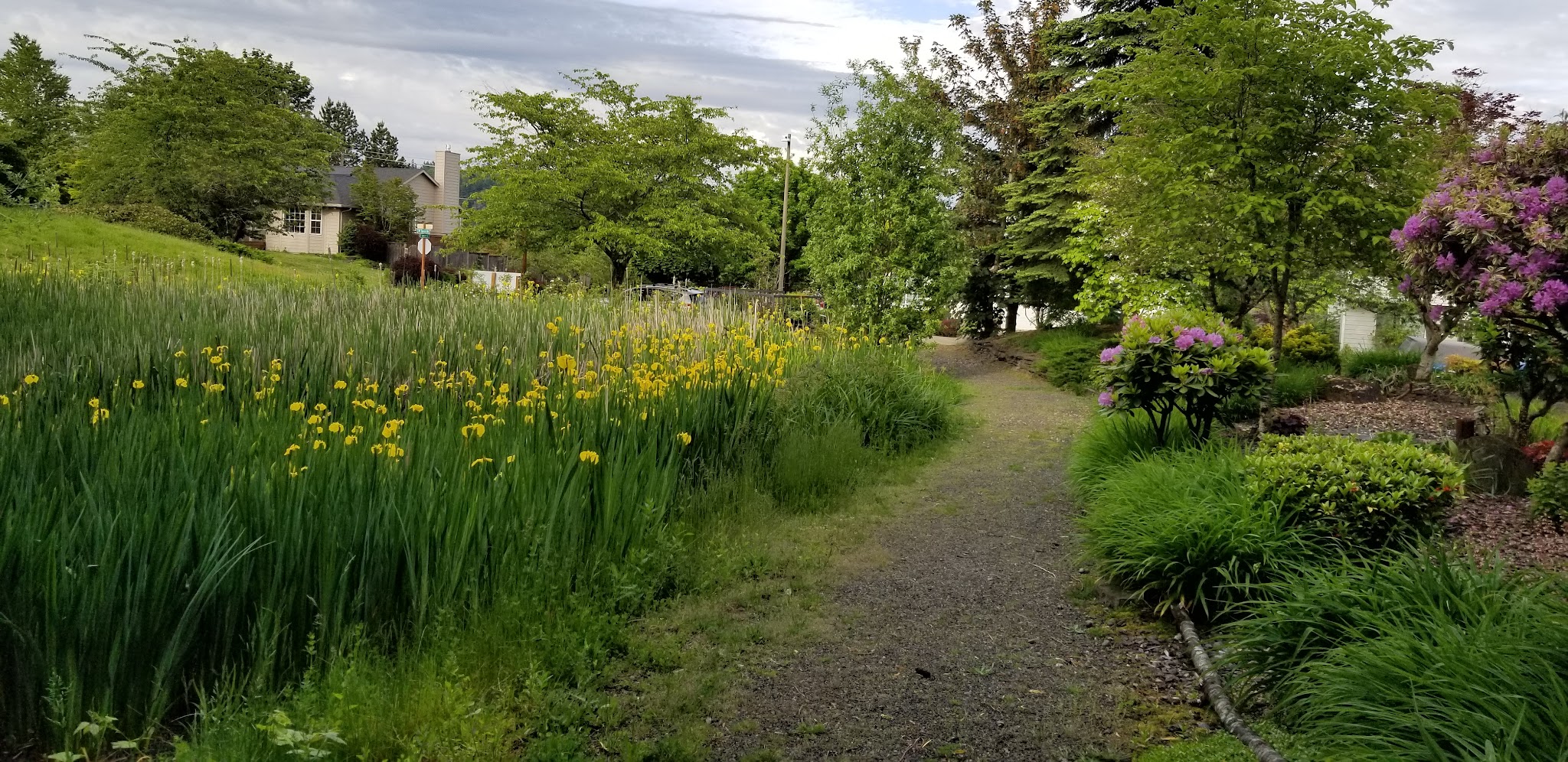 Stuart Ridge Greenway & Nature Pond - Troutdale, OR