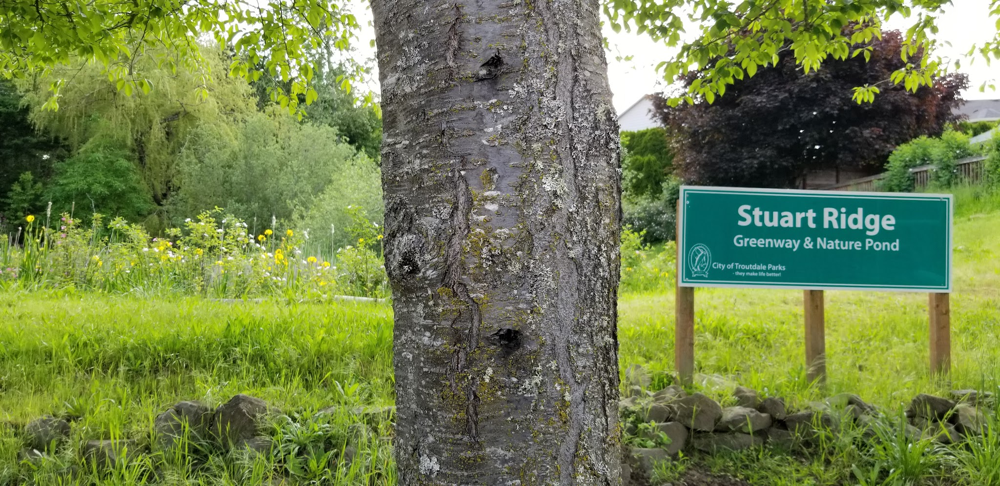 Stuart Ridge Greenway & Nature Pond - Troutdale, OR