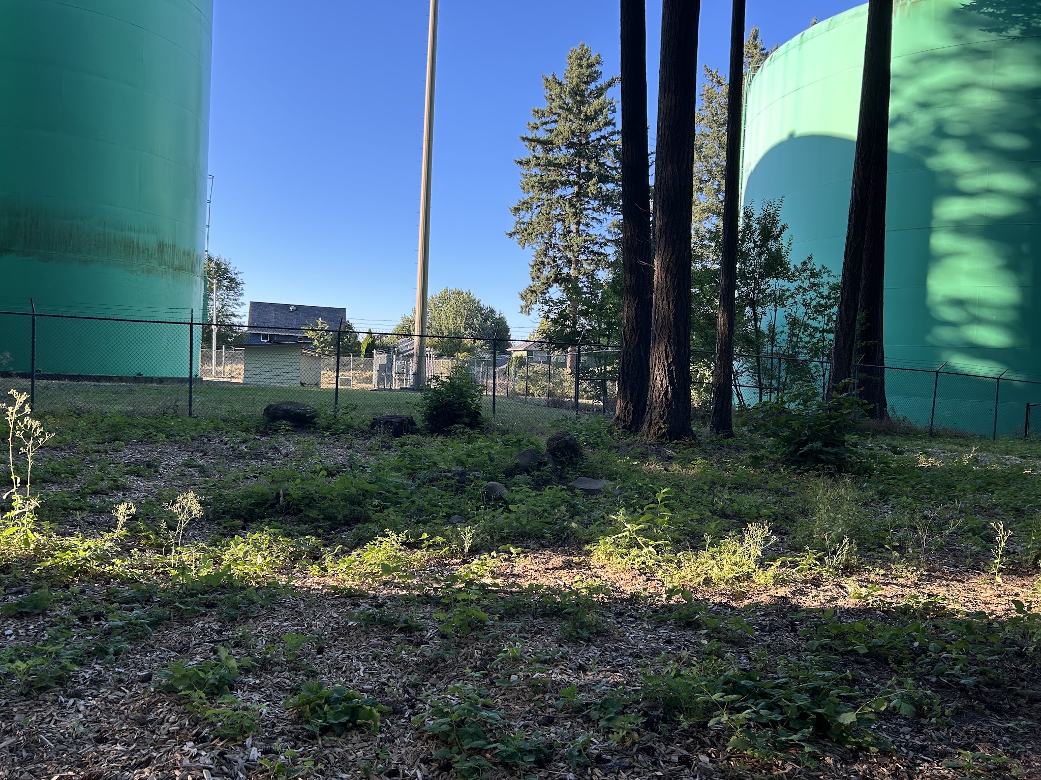 Troutdale Off Leash Dog Park - Troutdale, OR