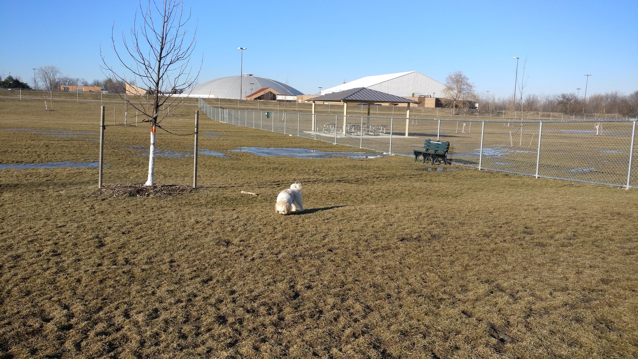 Daisy Knight Dog Park - Troy, MI