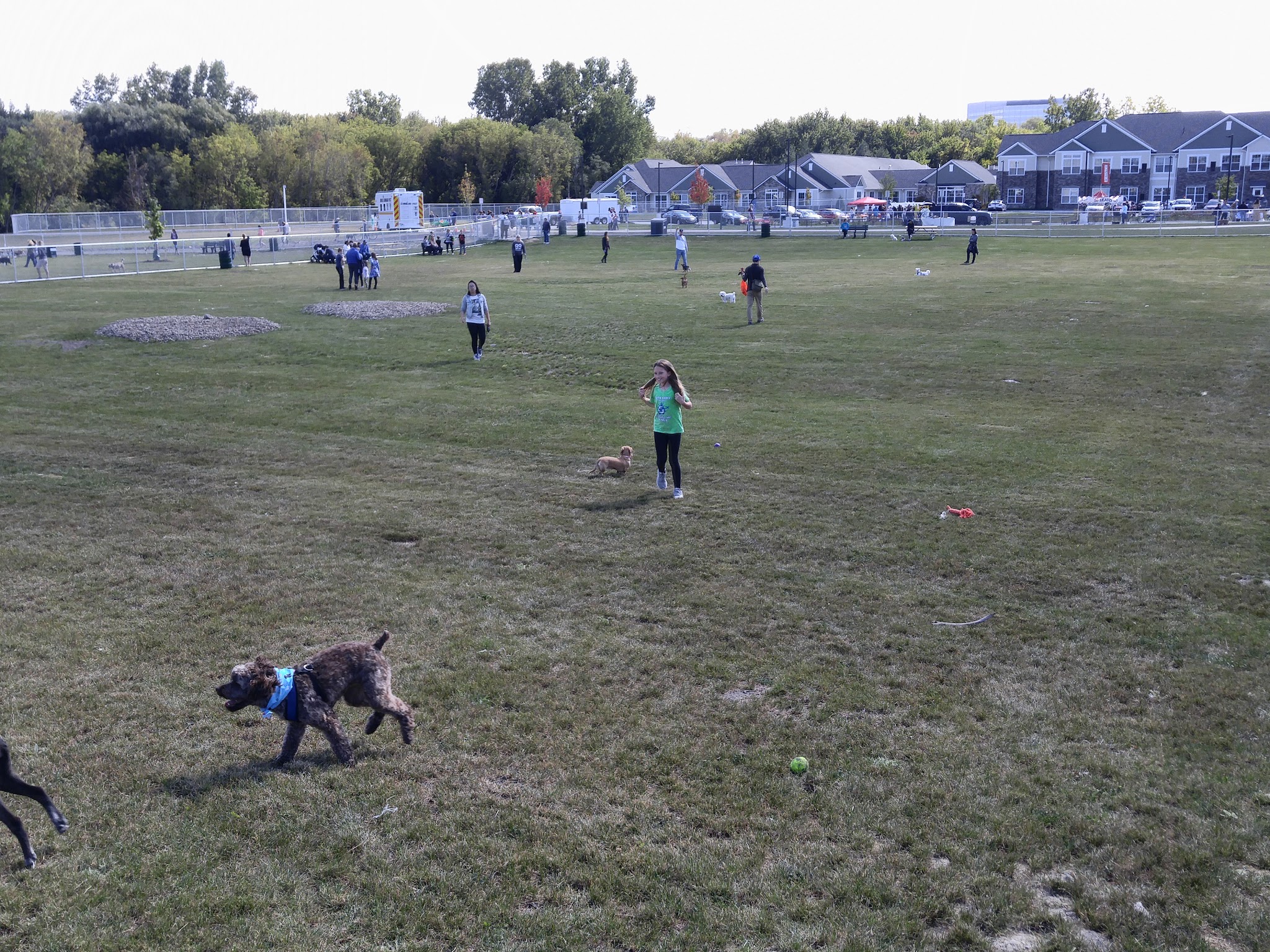 Daisy Knight Dog Park - Troy, MI