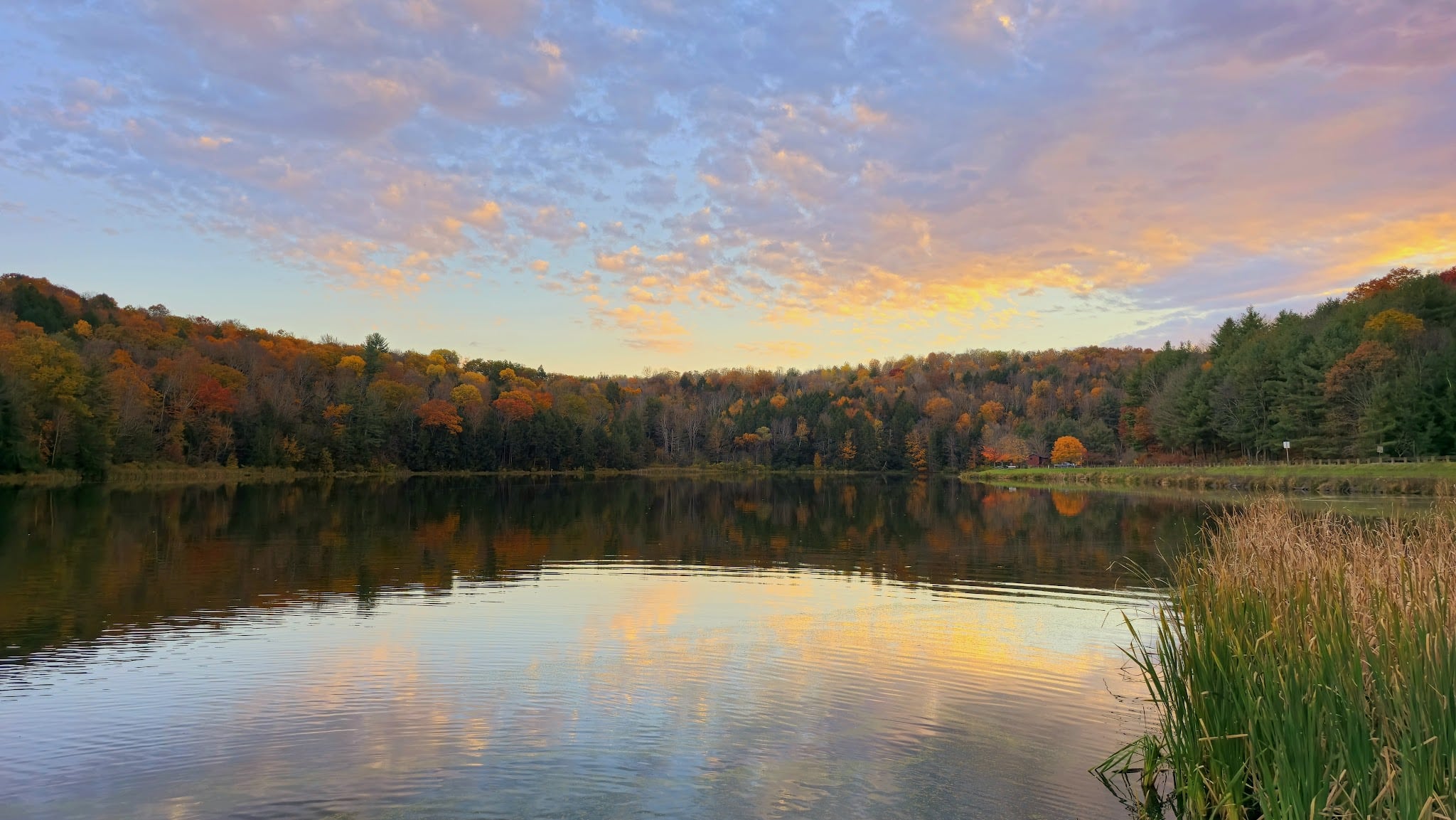 Mount Pisgah State Park - Troy, PA