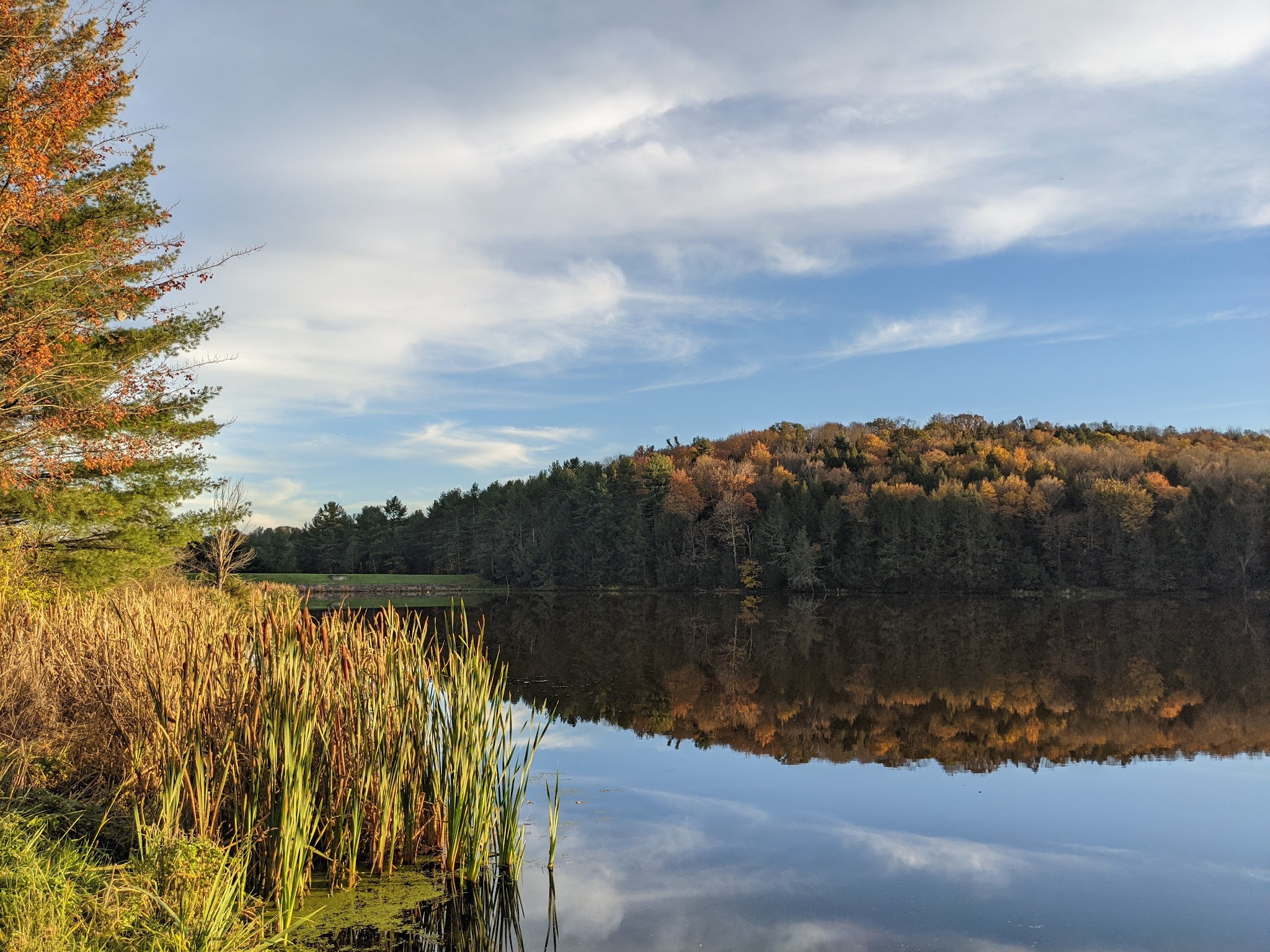 Mount Pisgah State Park - Troy, PA