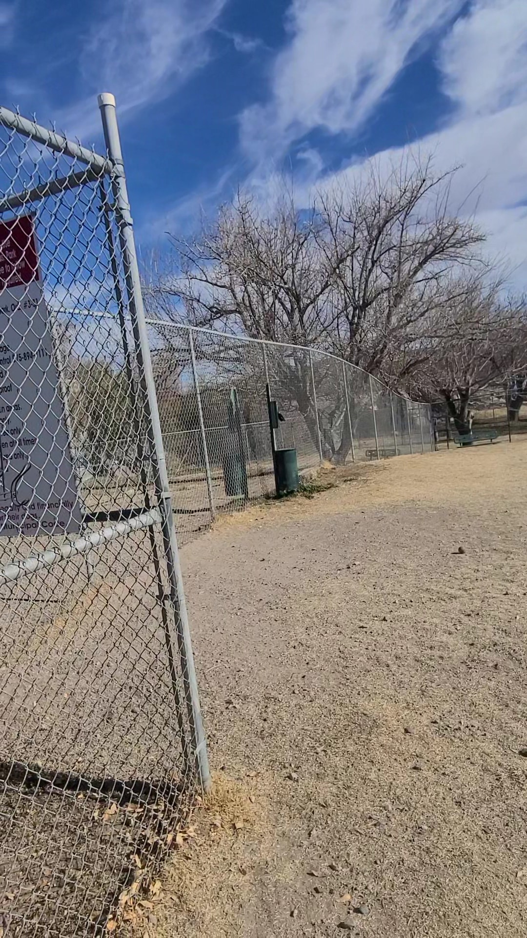 Carole Wheeler Dog Park - Truth or Consequences, NM