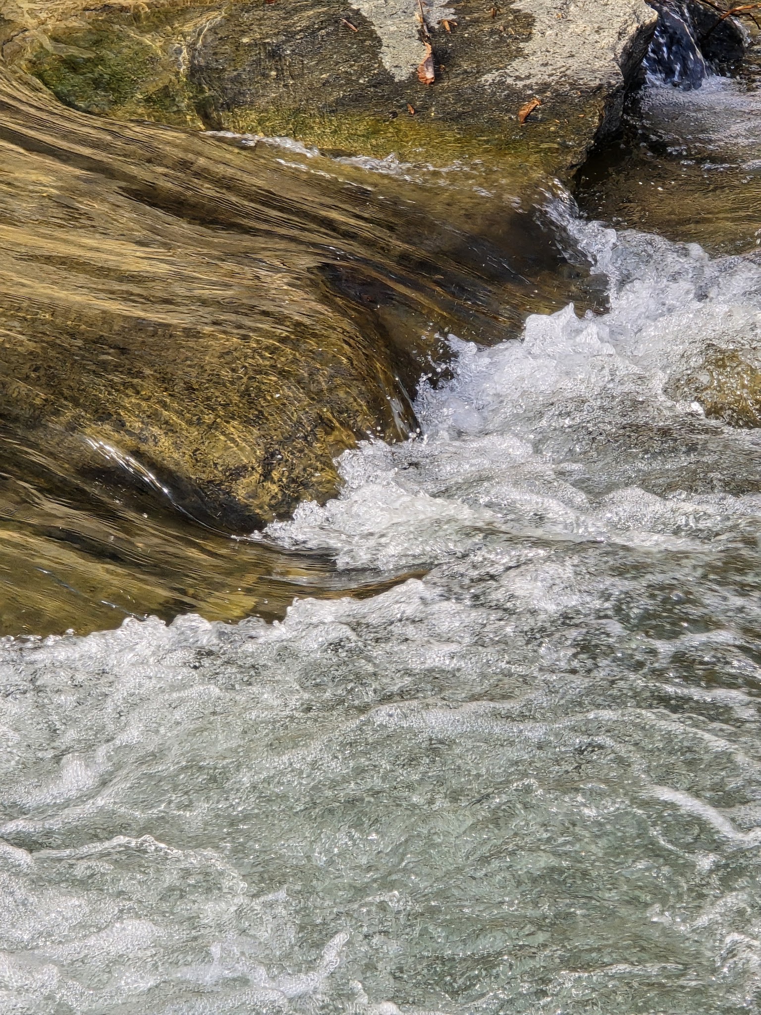 Harmon Field - Tryon, NC