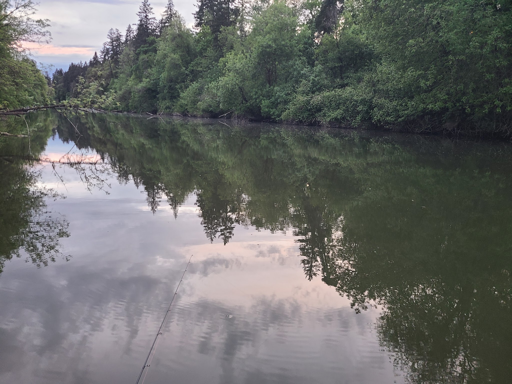 Jurgens Dog Park - Tualatin, OR