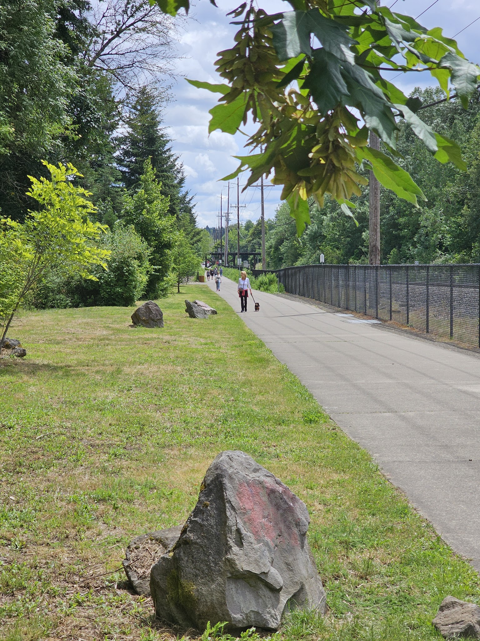 Tualatin Dog Park - Tualatin, OR