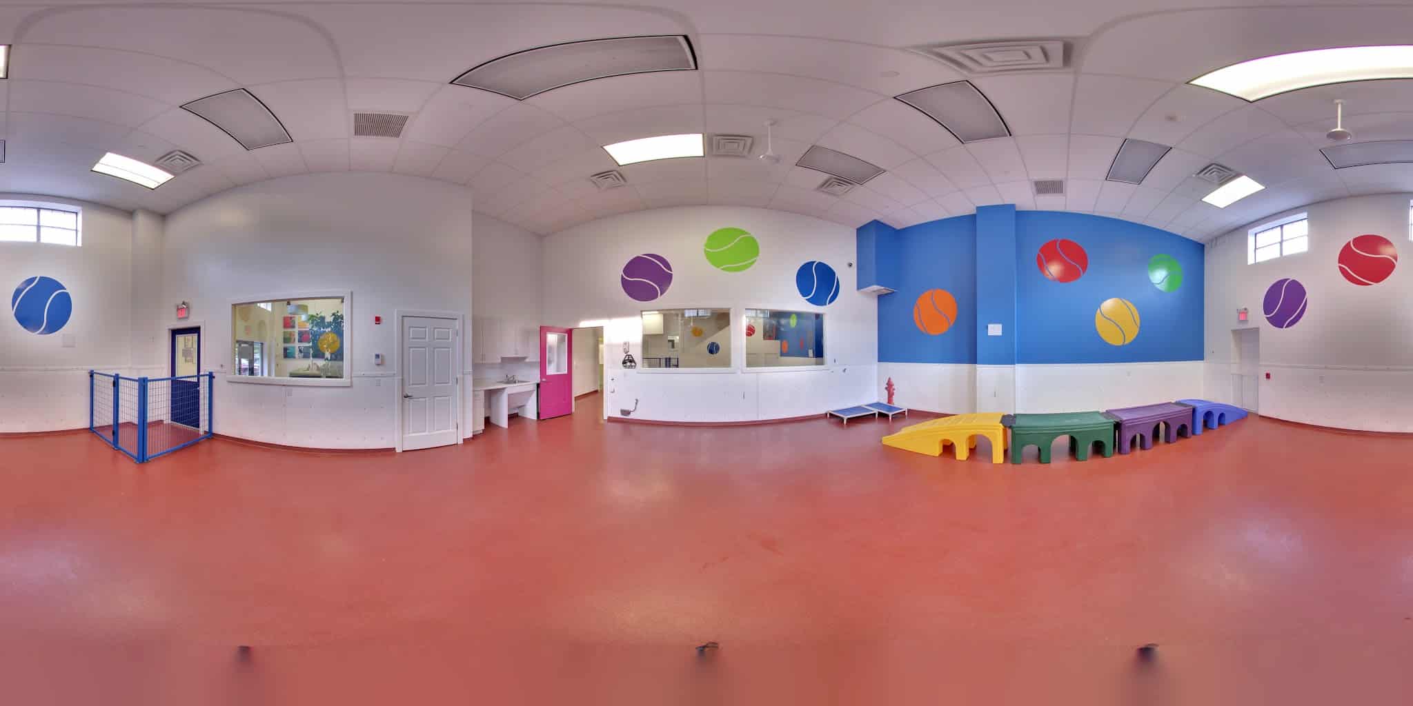 Paws & Play Pet Resort and Training Center - Tuckahoe, NY