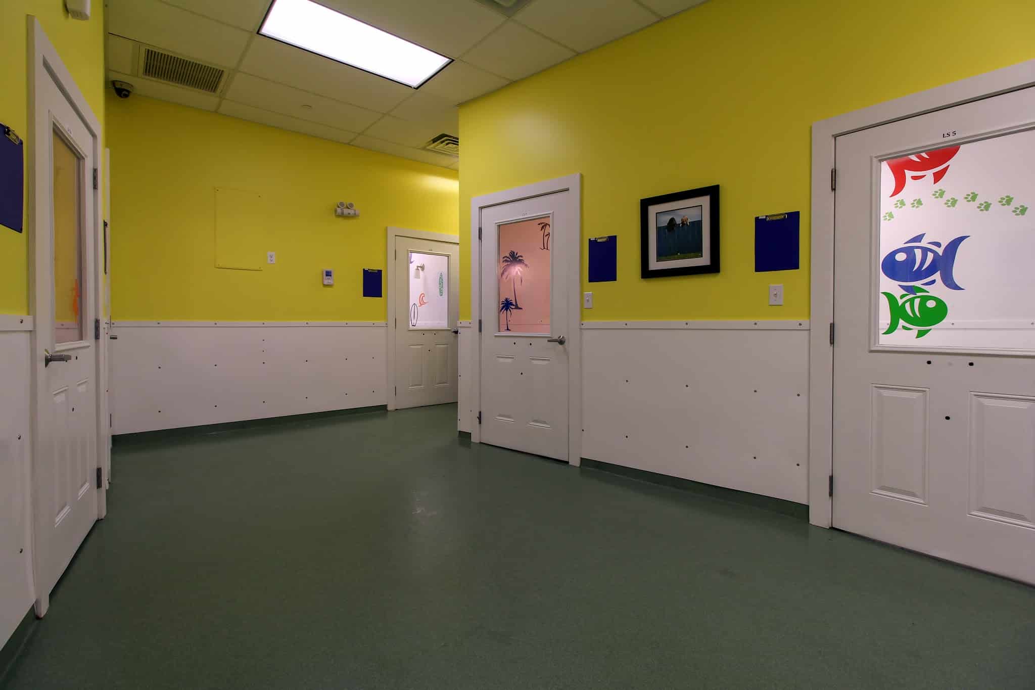 Paws & Play Pet Resort and Training Center - Tuckahoe, NY