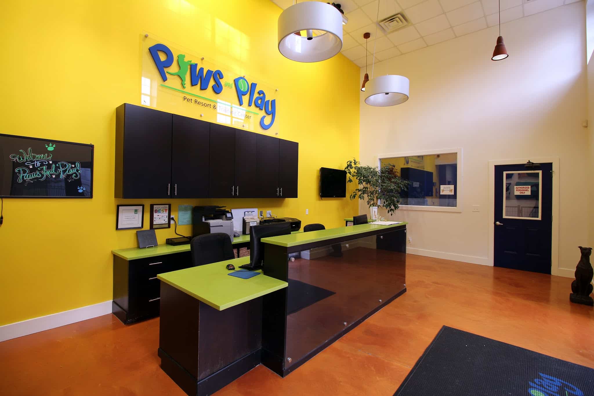 Paws & Play Pet Resort and Training Center - Tuckahoe, NY