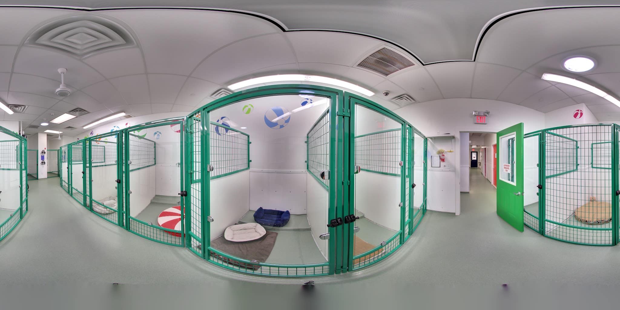 Paws & Play Pet Resort and Training Center - Tuckahoe, NY