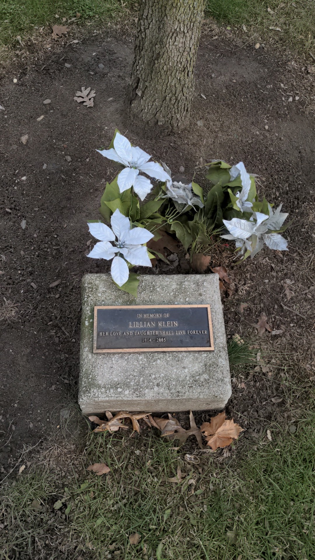 Tuckahoe Eastchester Lion Club Park - Tuckahoe, NY