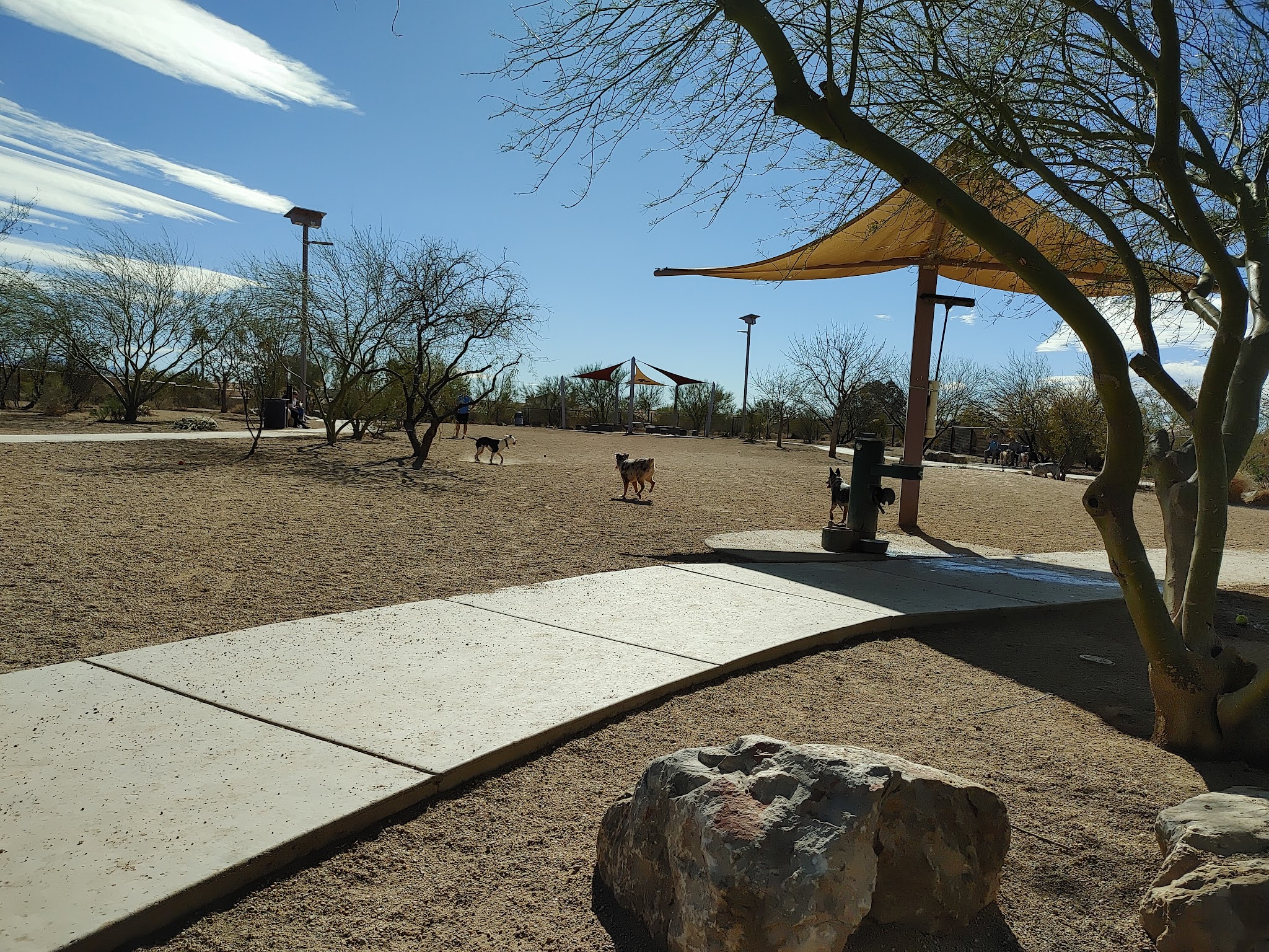 Ivan's Spot Dog Park - Tucson, AZ