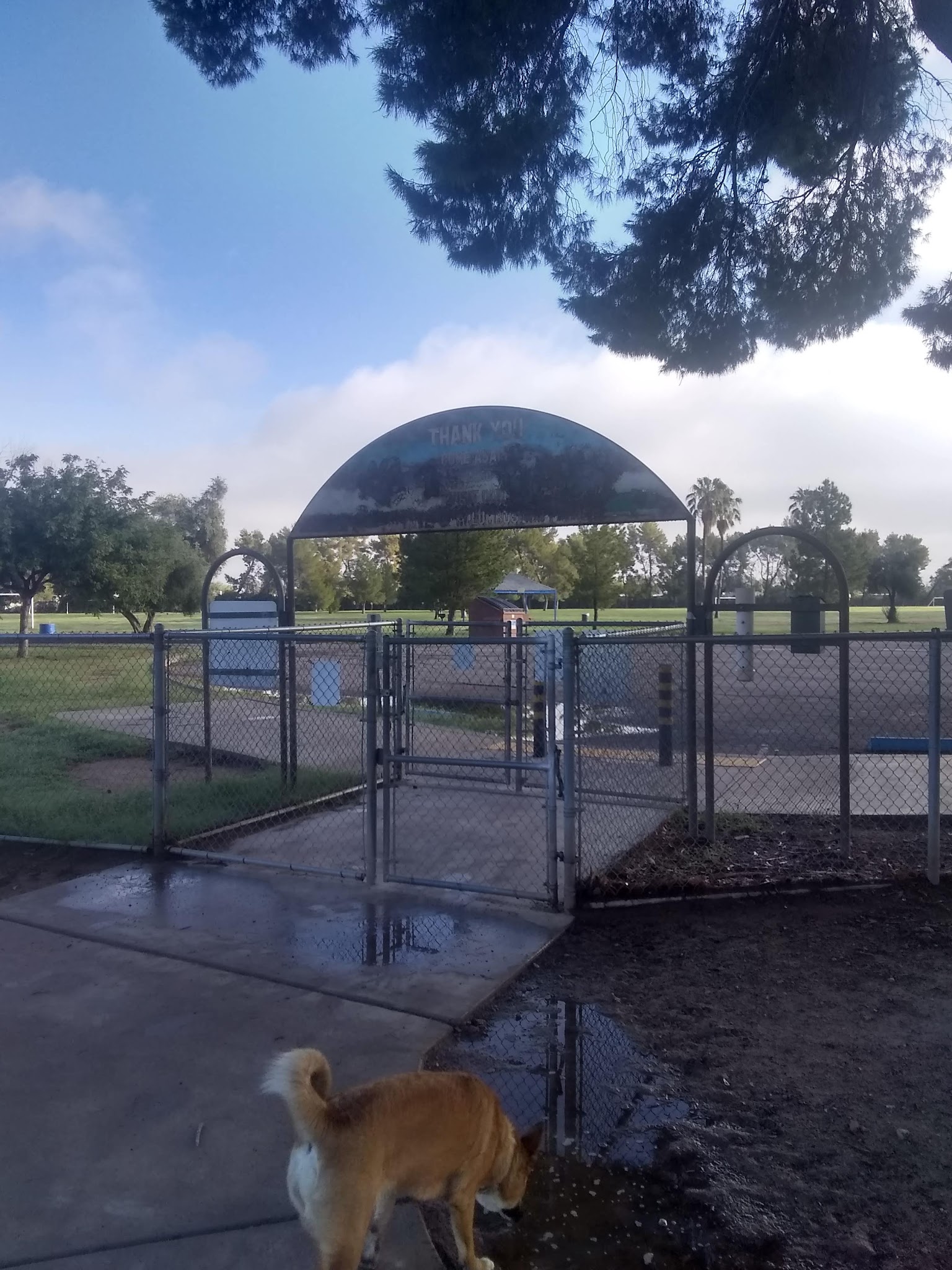 Jacobs Dog Park - Tucson, AZ