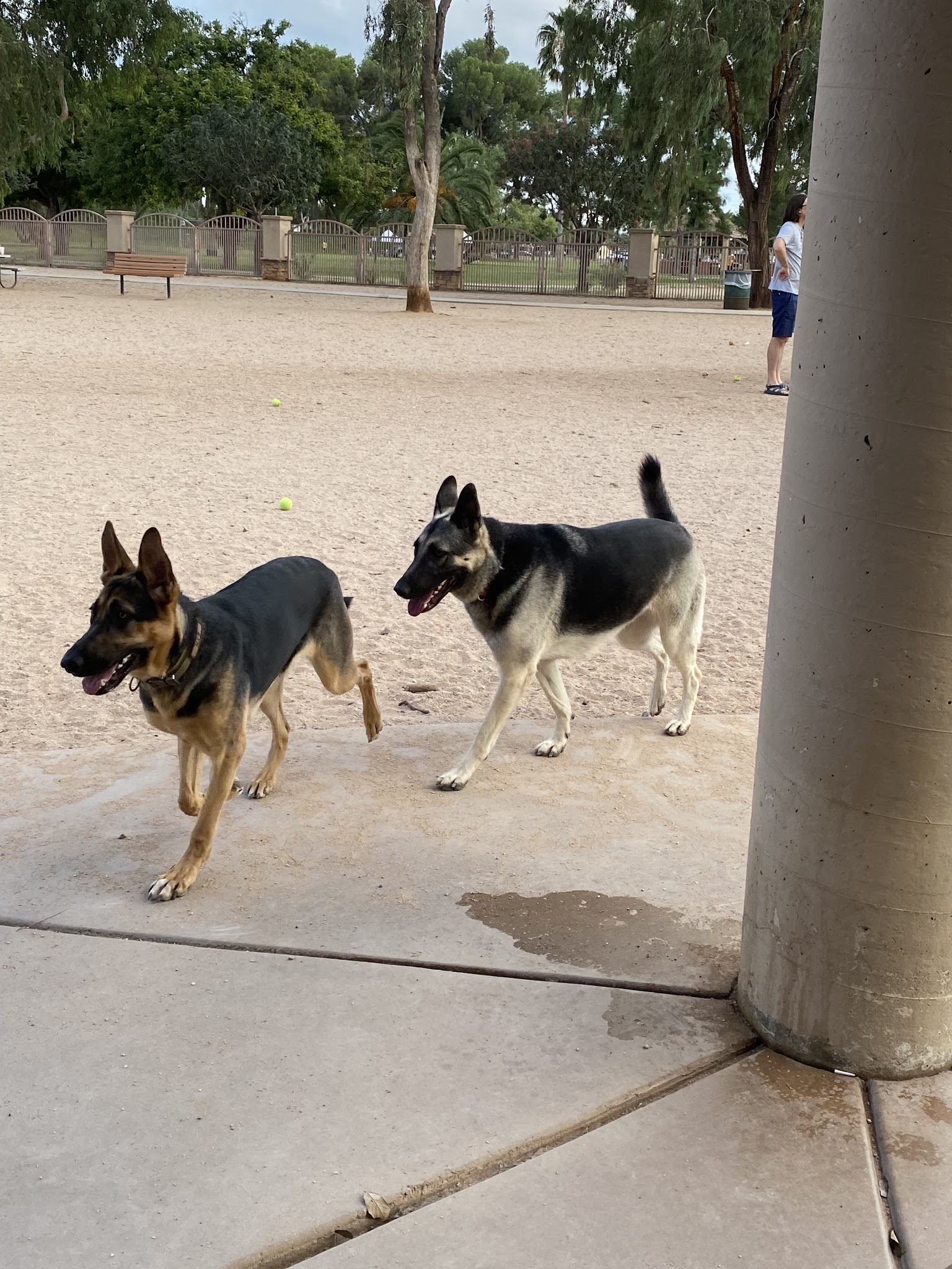 Miko's Corner Playground Dog Park - Tucson, AZ