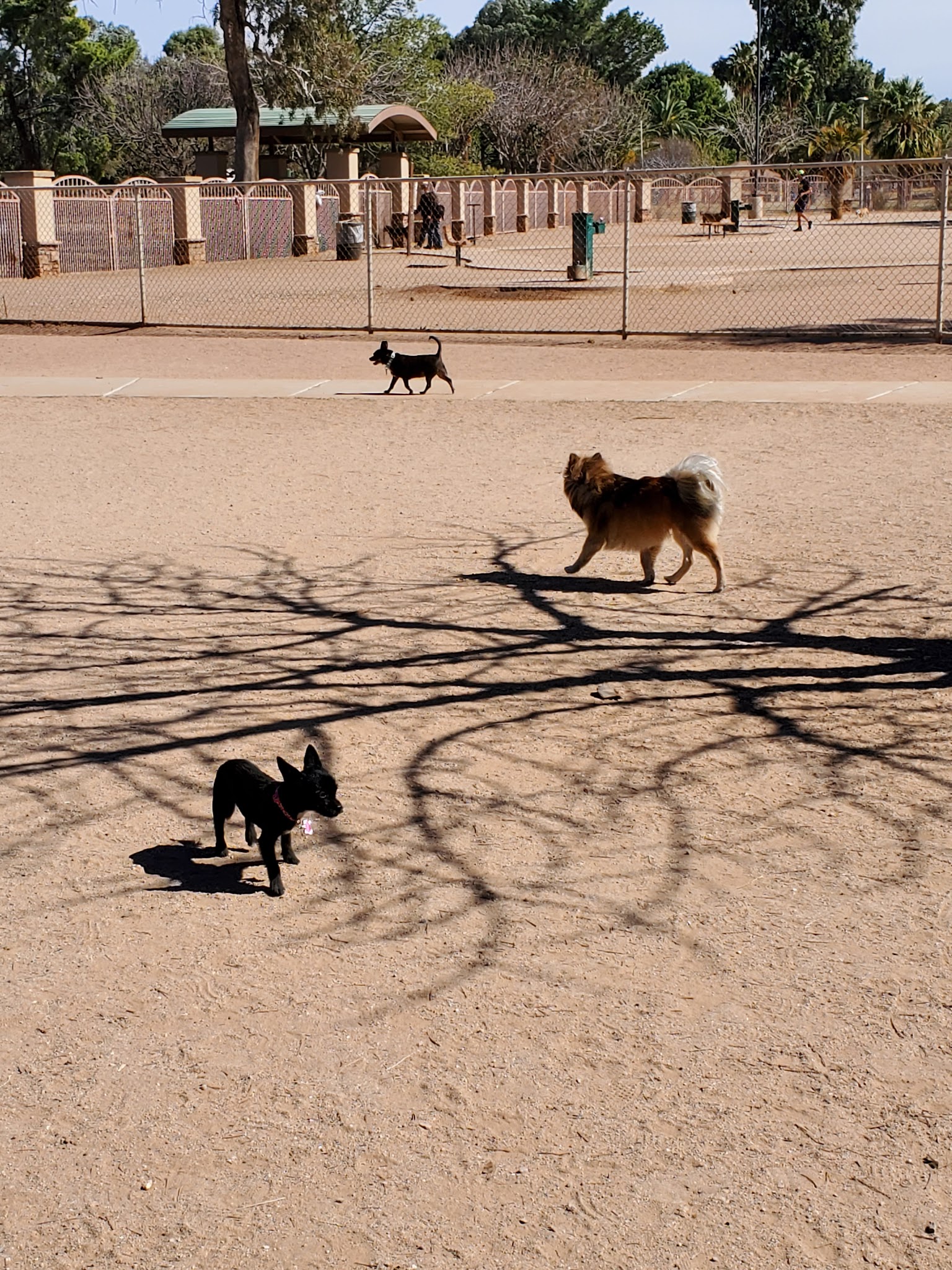 Miko's Corner Playground Dog Park - Tucson, AZ