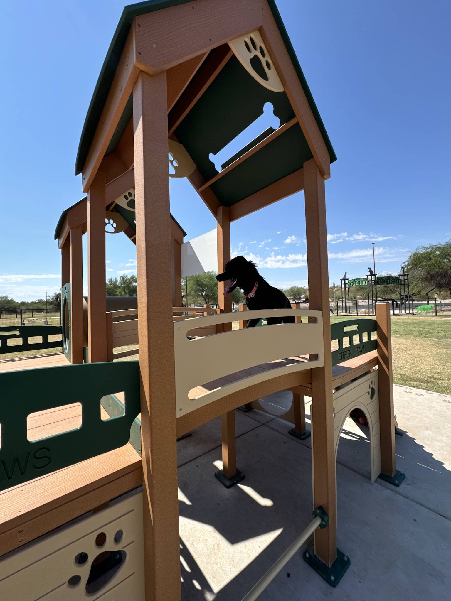 Wagging Tails Dog Park - Tucson, AZ