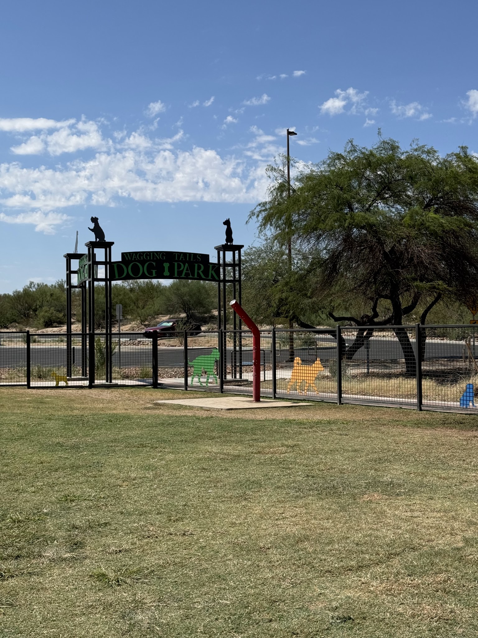 Wagging Tails Dog Park - Tucson, AZ