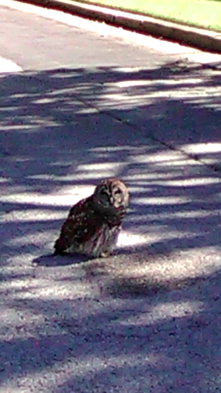 Boots Adam's Park - Tulsa, OK