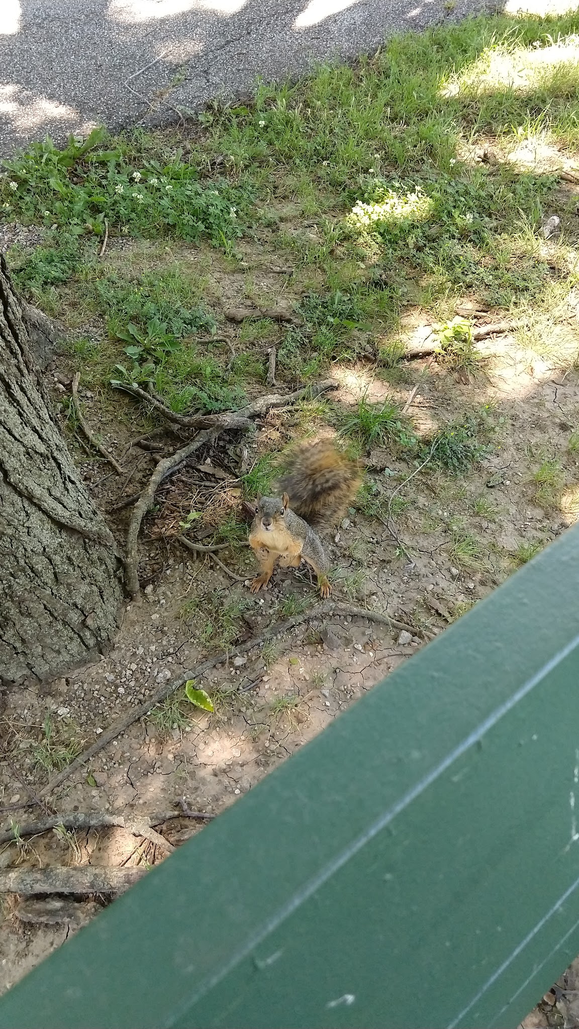 Boots Adam's Park - Tulsa, OK