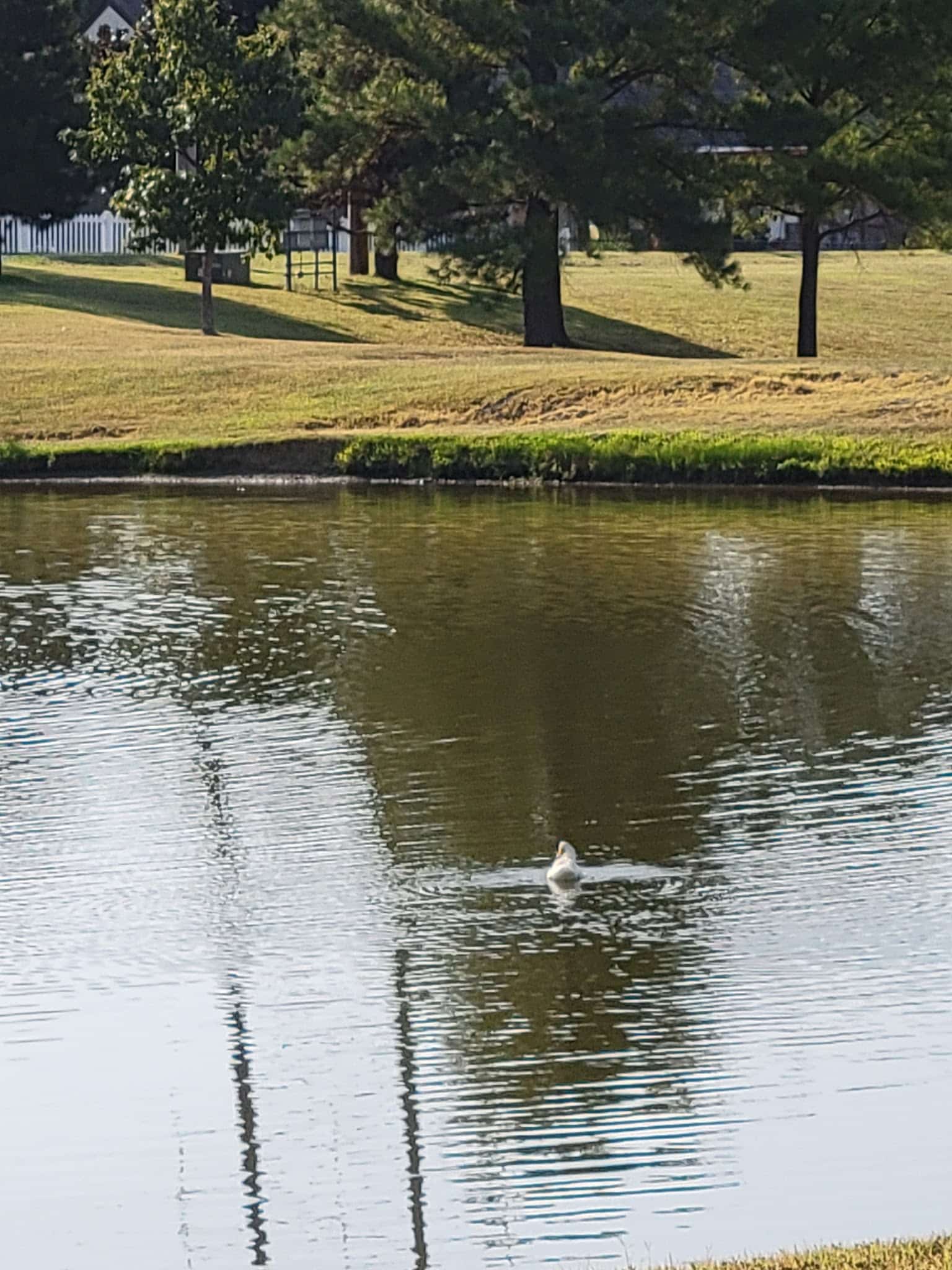 Crescent Park - Tulsa, OK