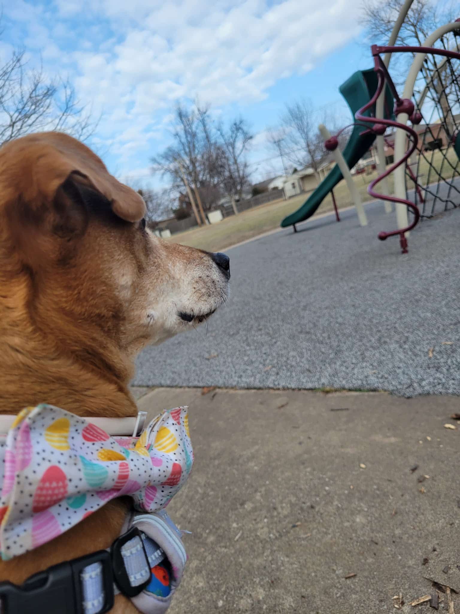 Darlington Park - Tulsa, OK