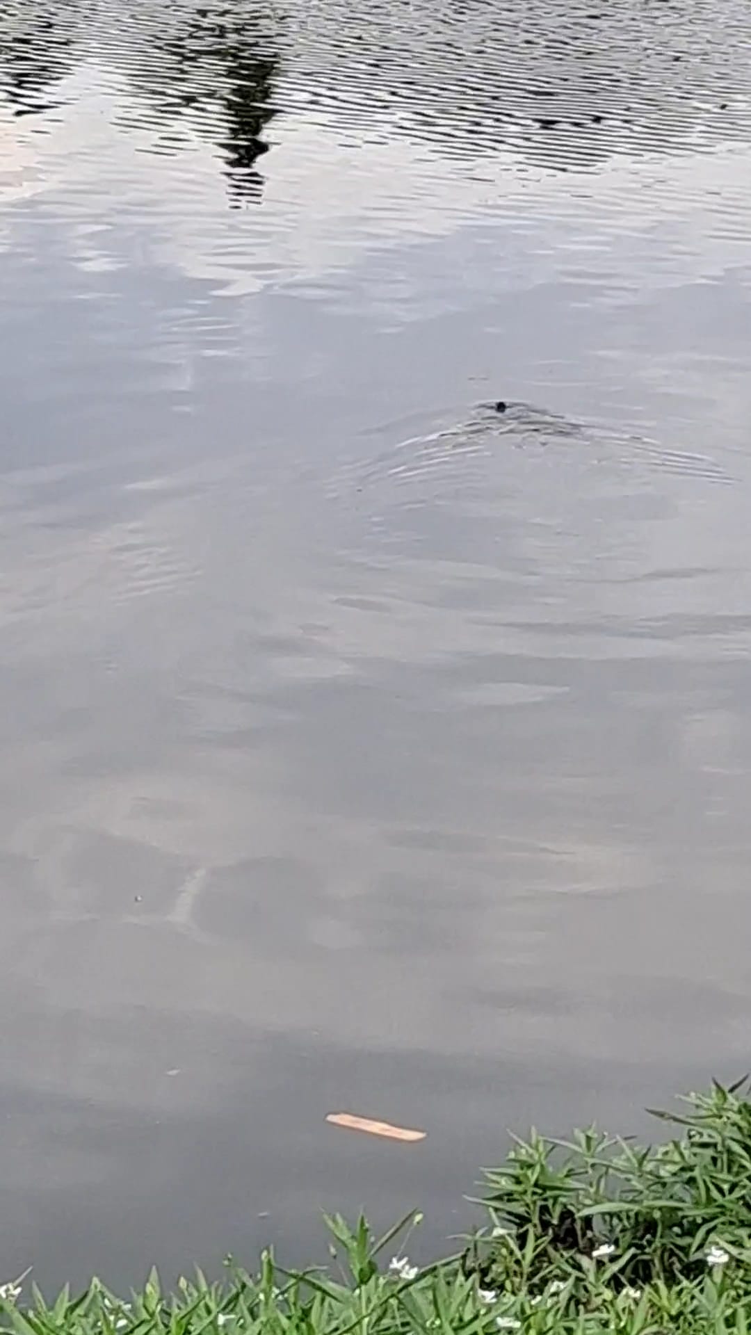 LaFortune Park - Tulsa, OK