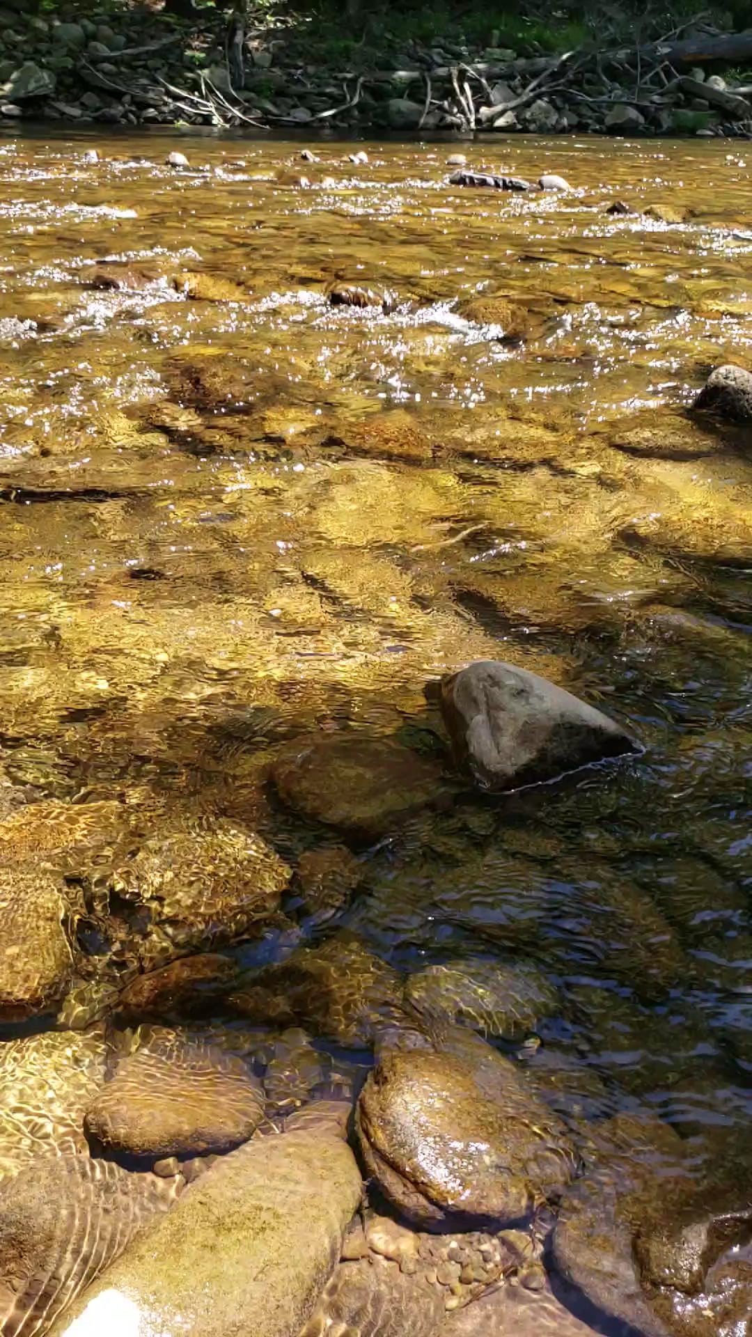 Creek Junction Park - Tunkhannock, PA