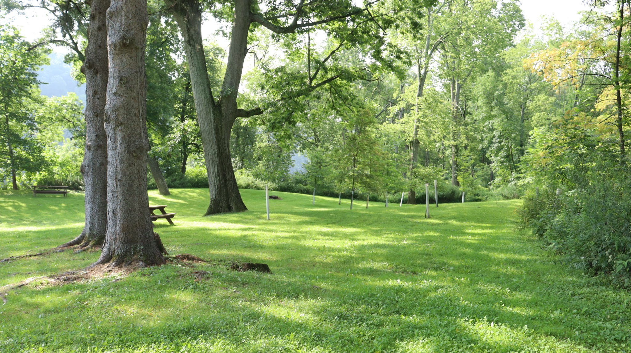 Vosburg Neck State Park - Tunkhannock, PA