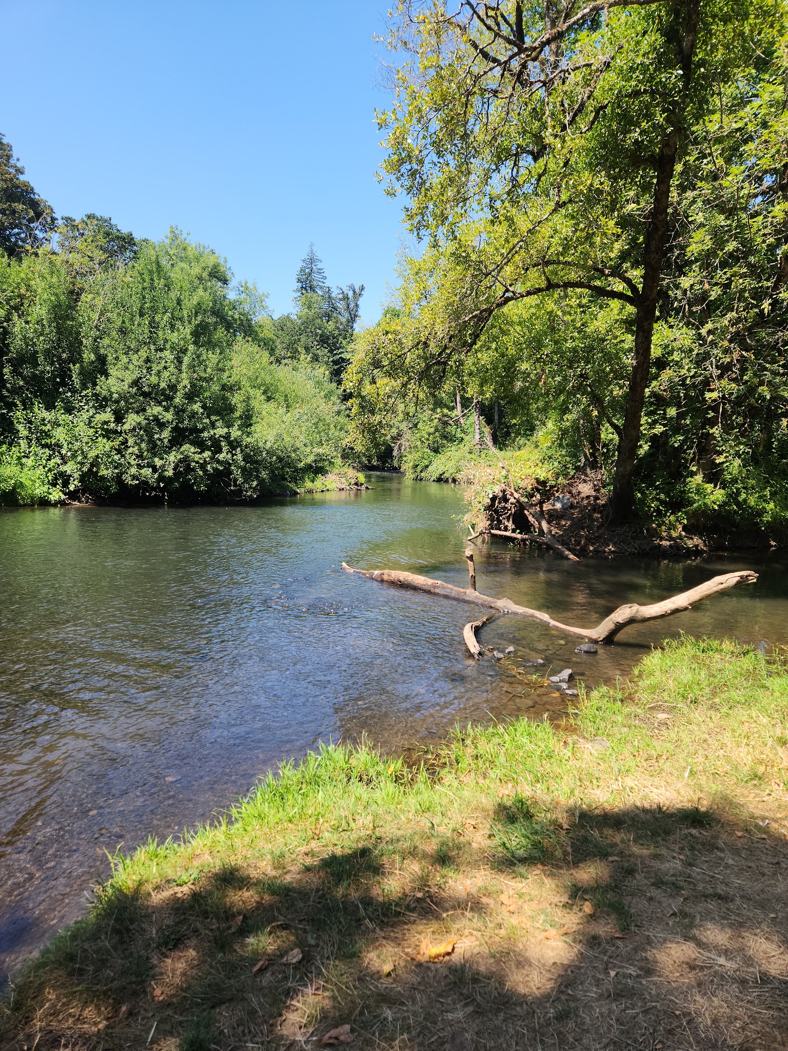 Turner City Park - Turner, OR