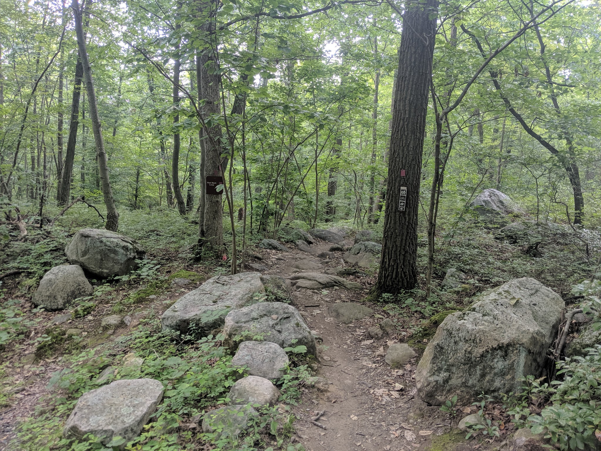 Sterling Forest State Park - Tuxedo Park, NY