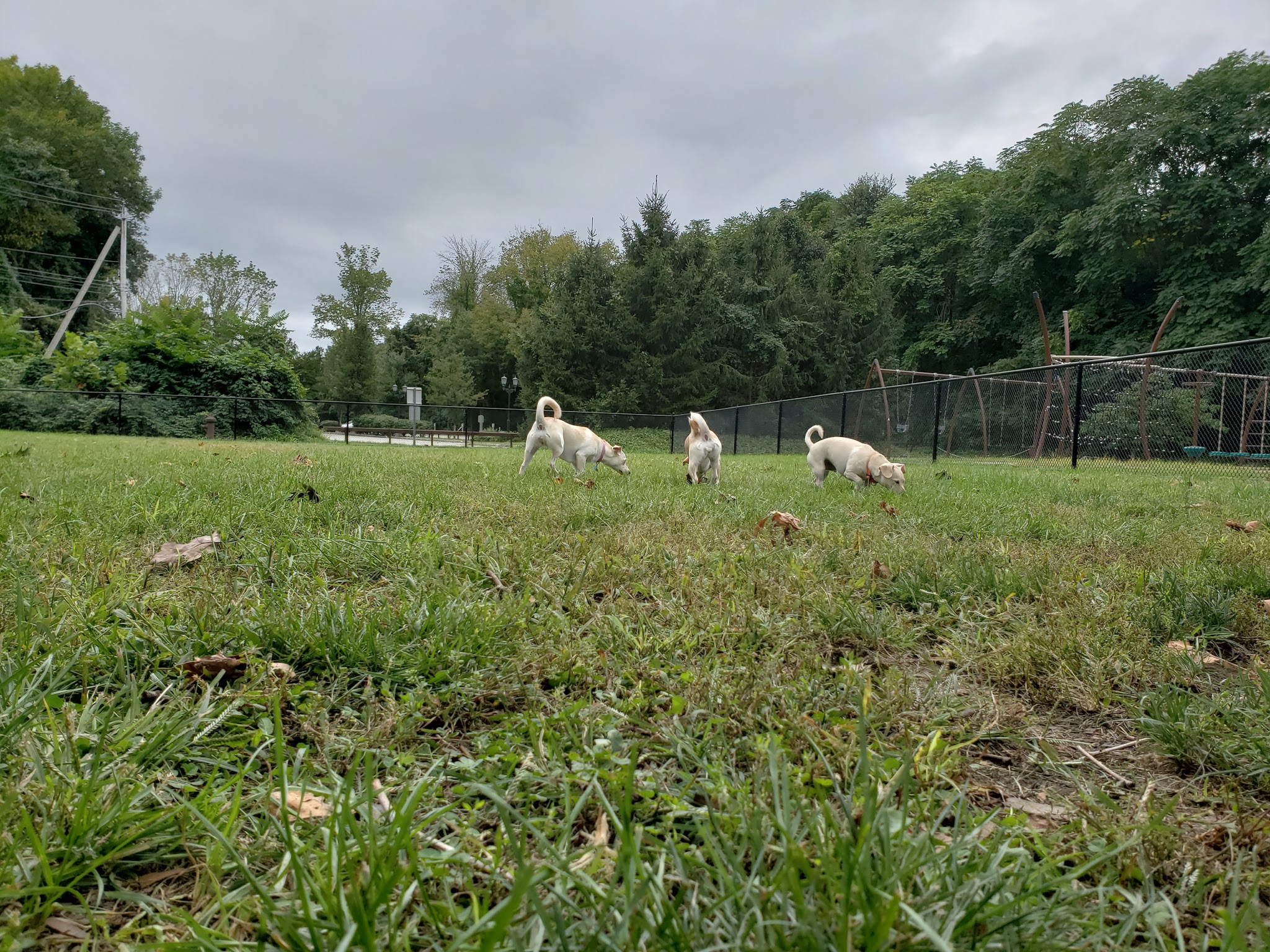 Tuxedo Dog Park - Tuxedo Park, NY