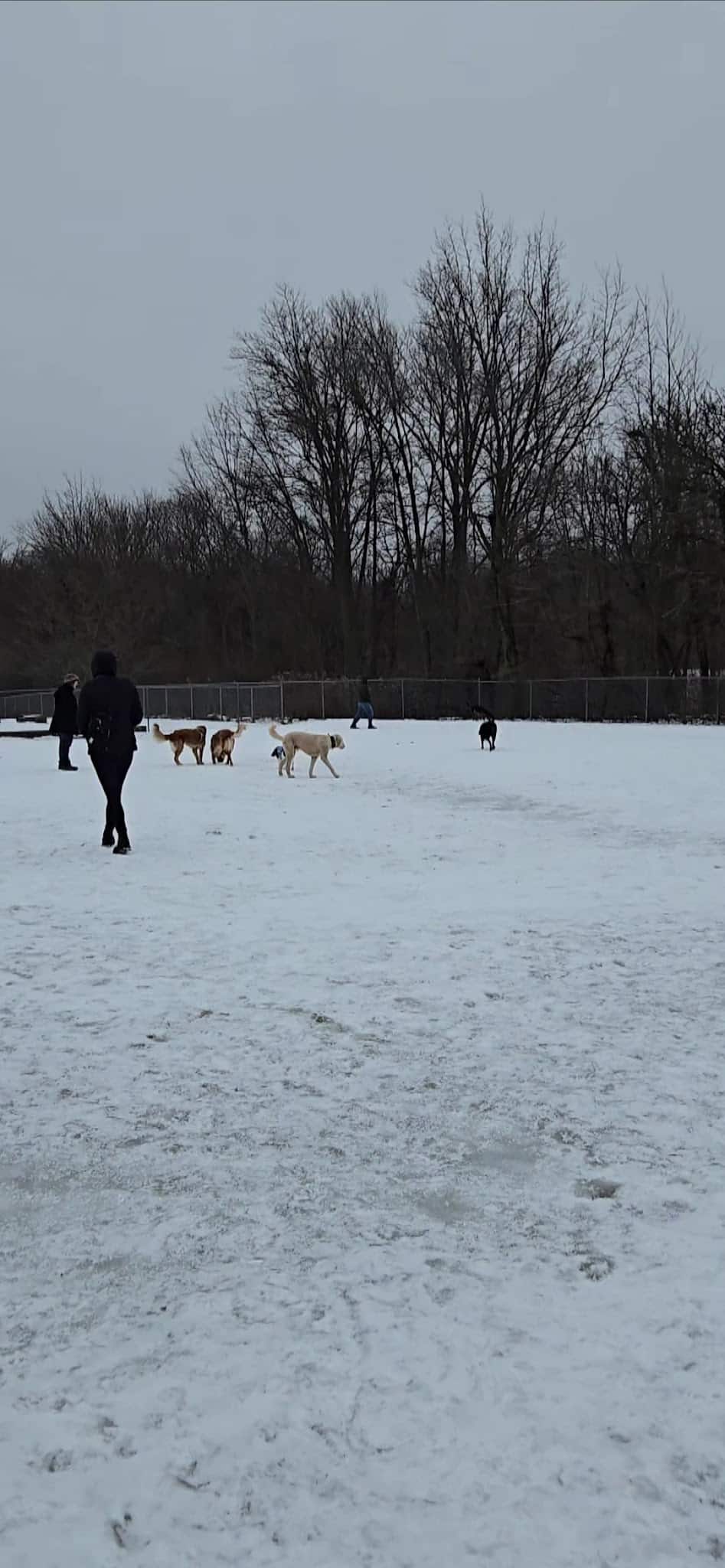 Twinsburg Dog Park - Twinsburg, OH