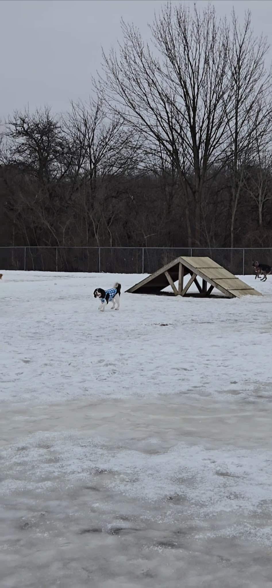 Twinsburg Dog Park - Twinsburg, OH