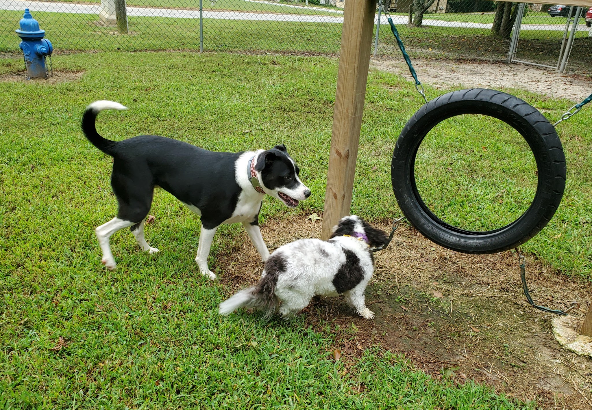 Fabon Brown Park - Tyrone, GA