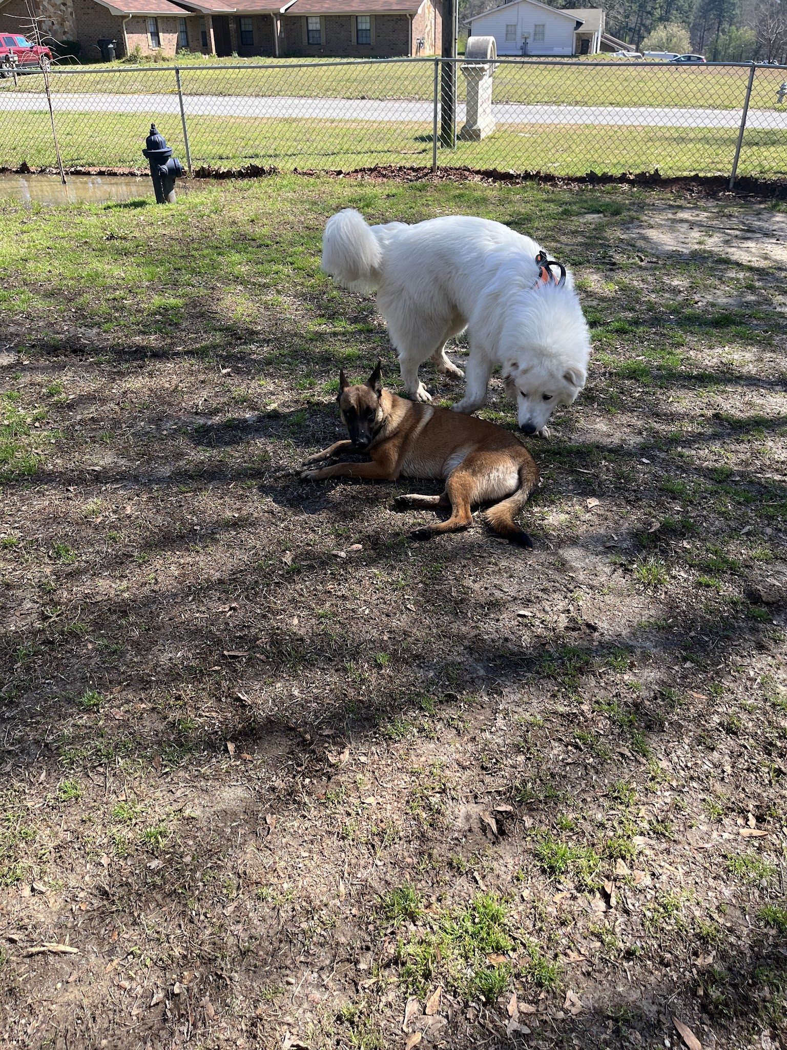 Fabon Brown Park - Tyrone, GA