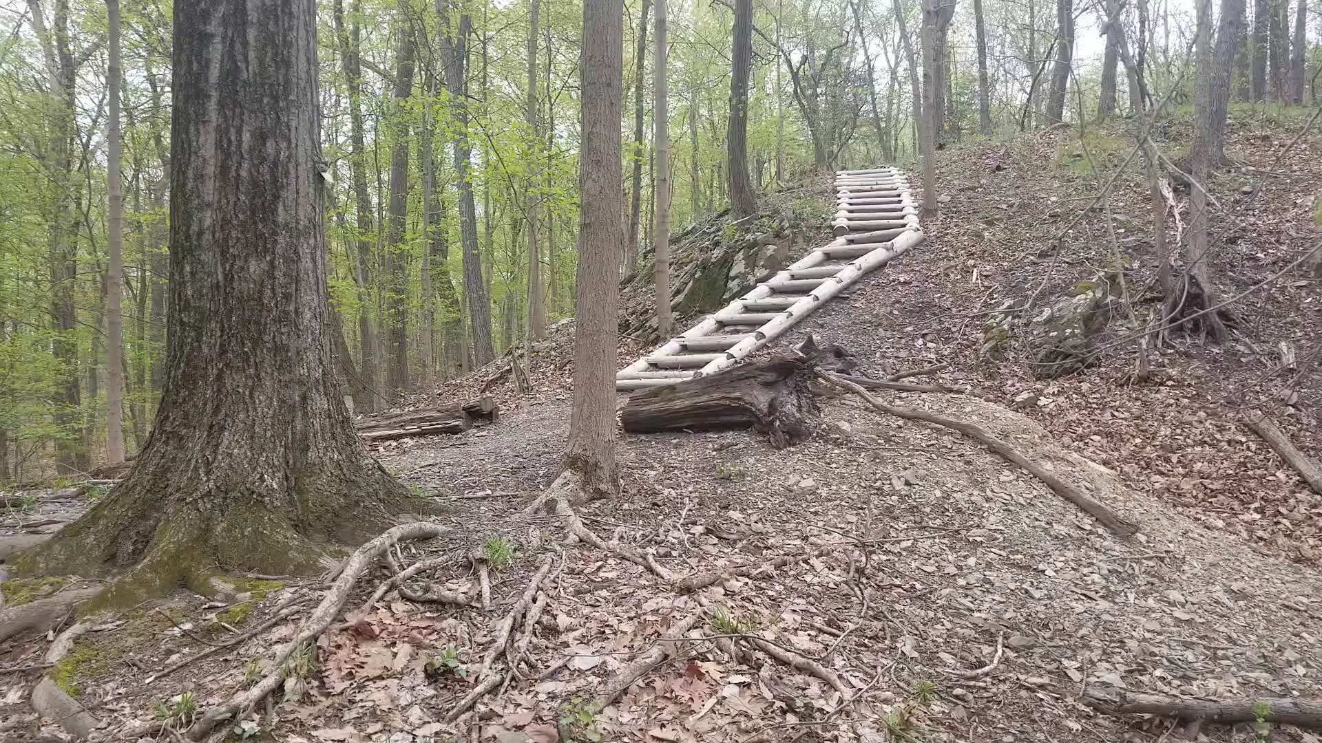 Esopus Meadows Preserve - Ulster Park, NY