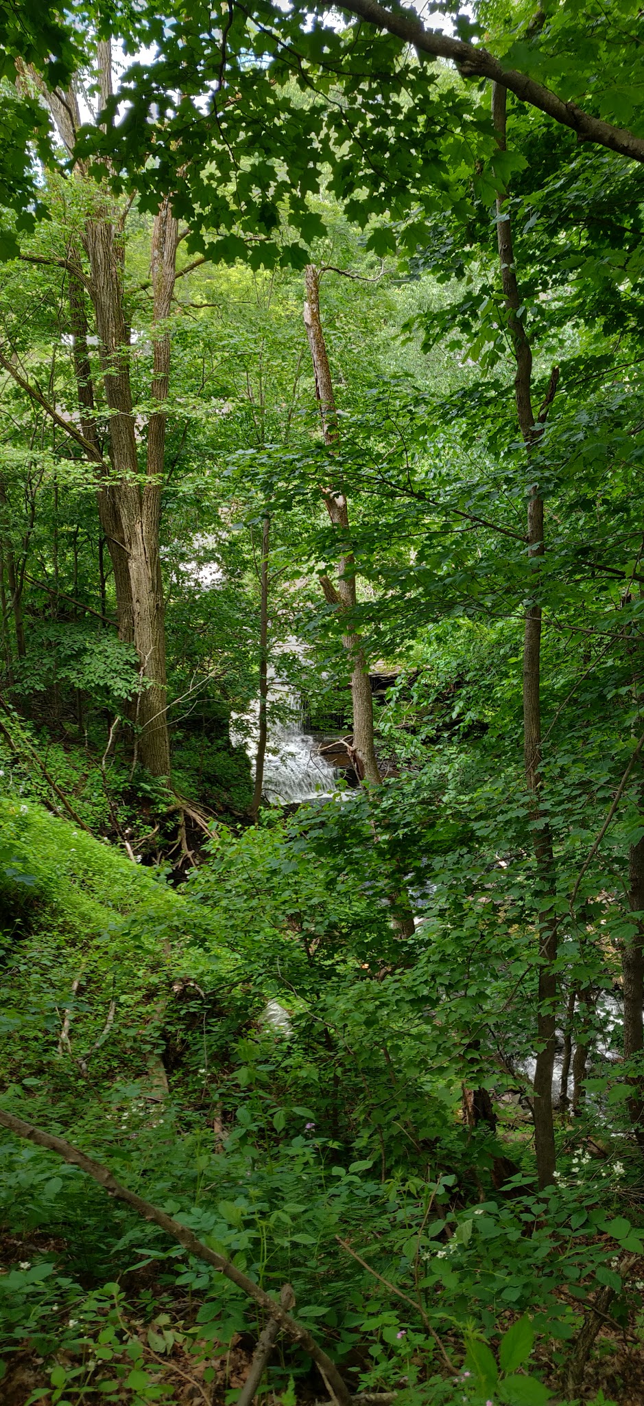 D&H Rail-Trail, Union Dale Trailhead - Union Dale, PA
