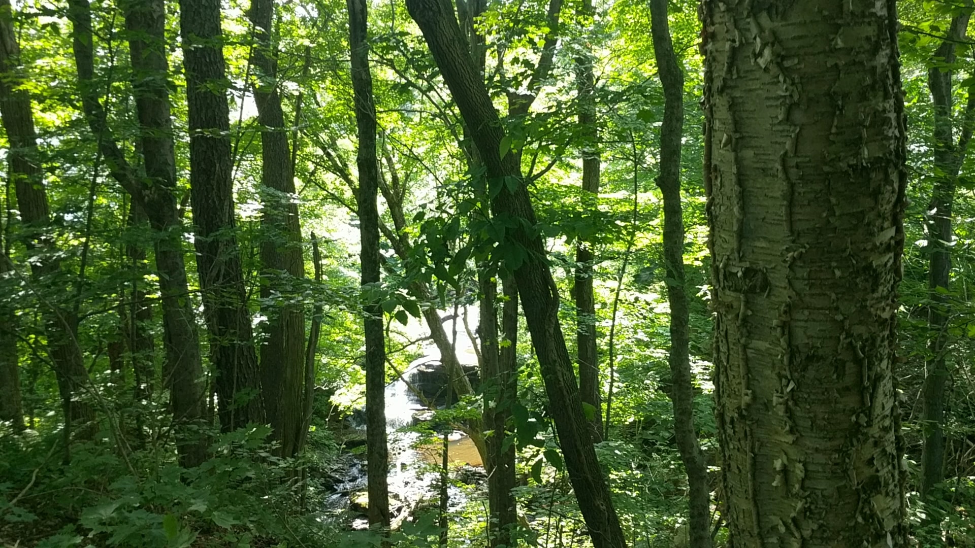 D&H Rail-Trail, Union Dale Trailhead - Union Dale, PA